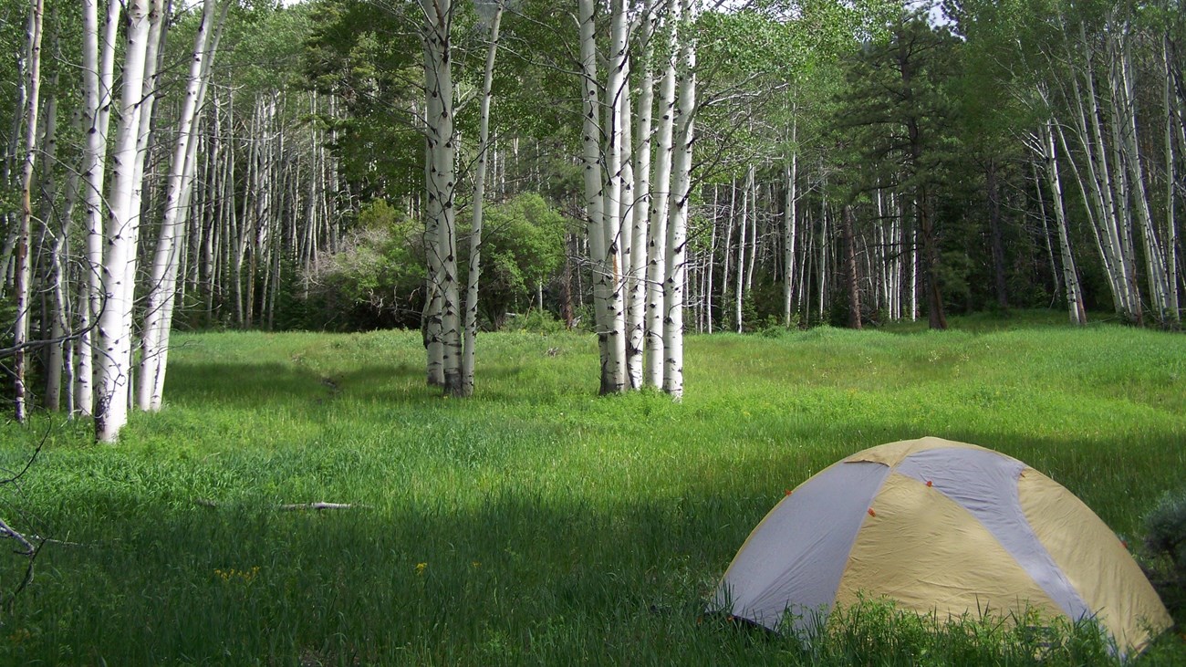 yellow text in green meadow