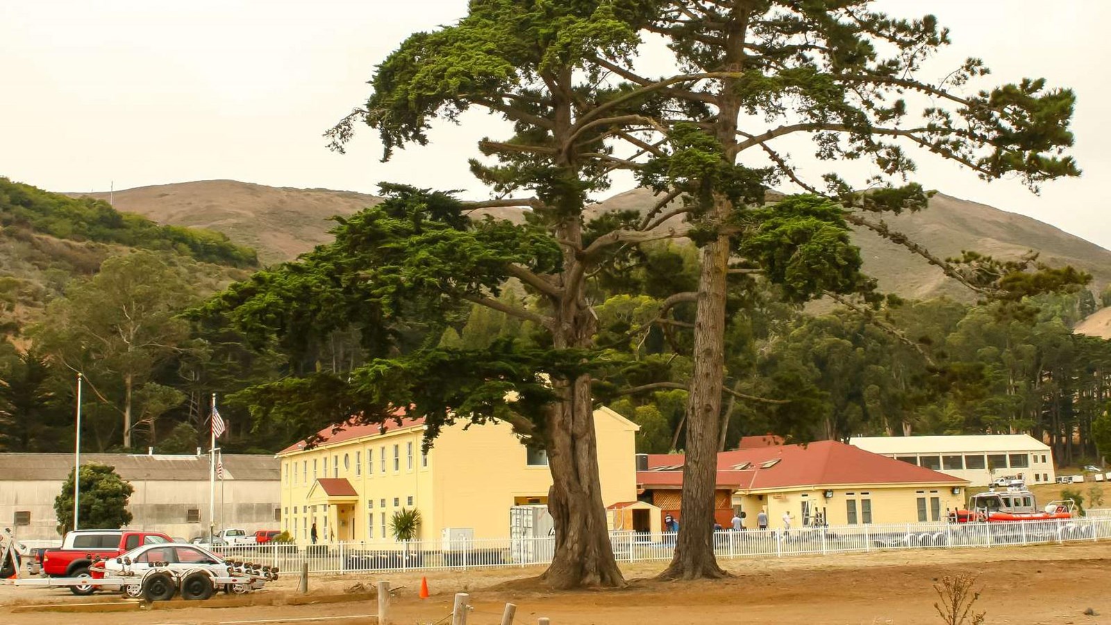 Two Monterey pines tower over the buildings in front of the Coast Guard Station.