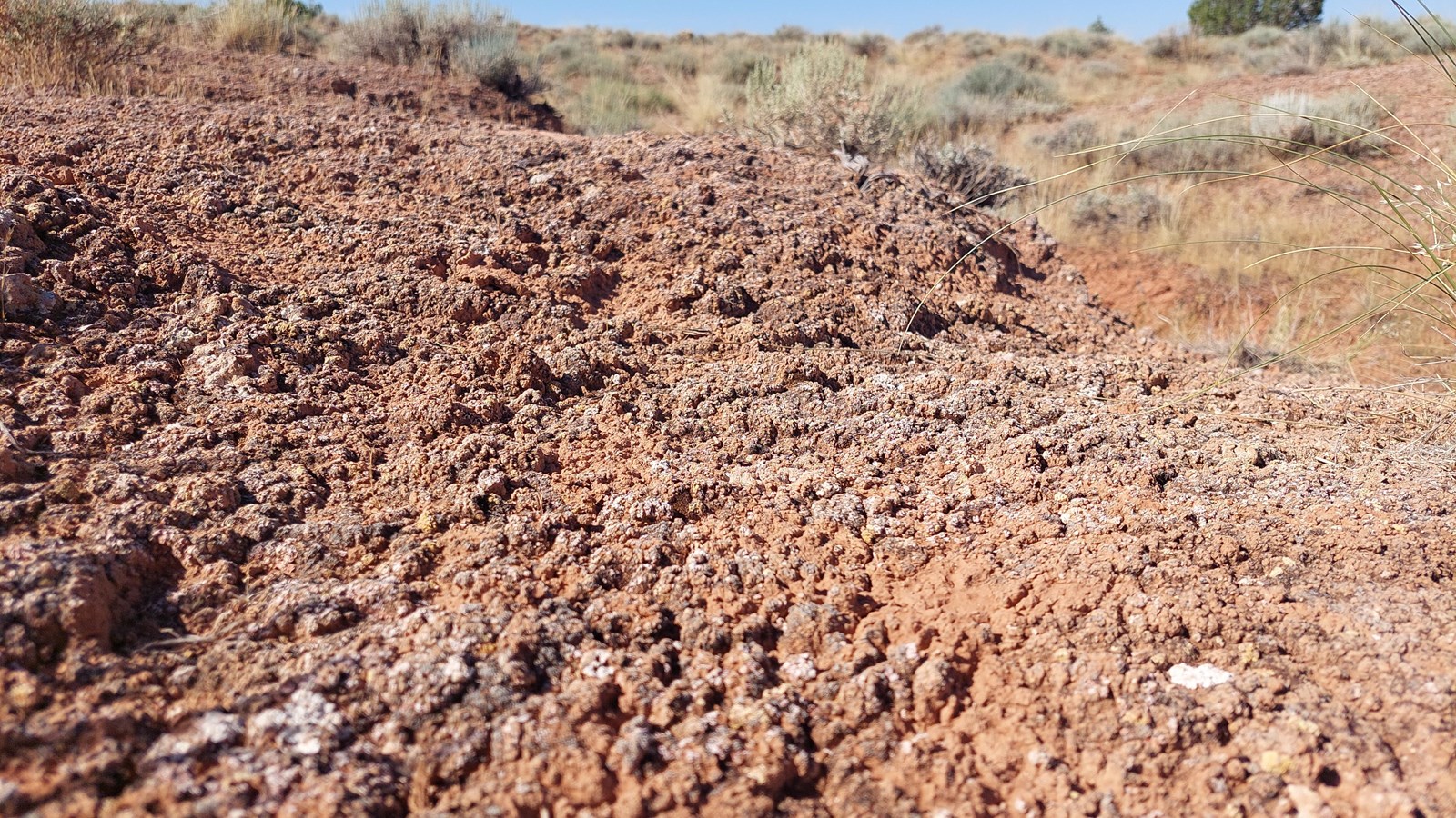 Reddish-brown soil that appears crusty in texture covering the desert landscape.