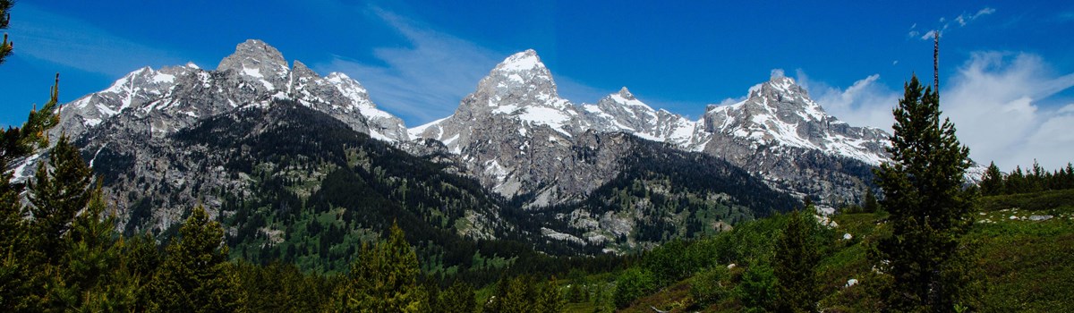 A trail winds through bushes towards a mountain range.