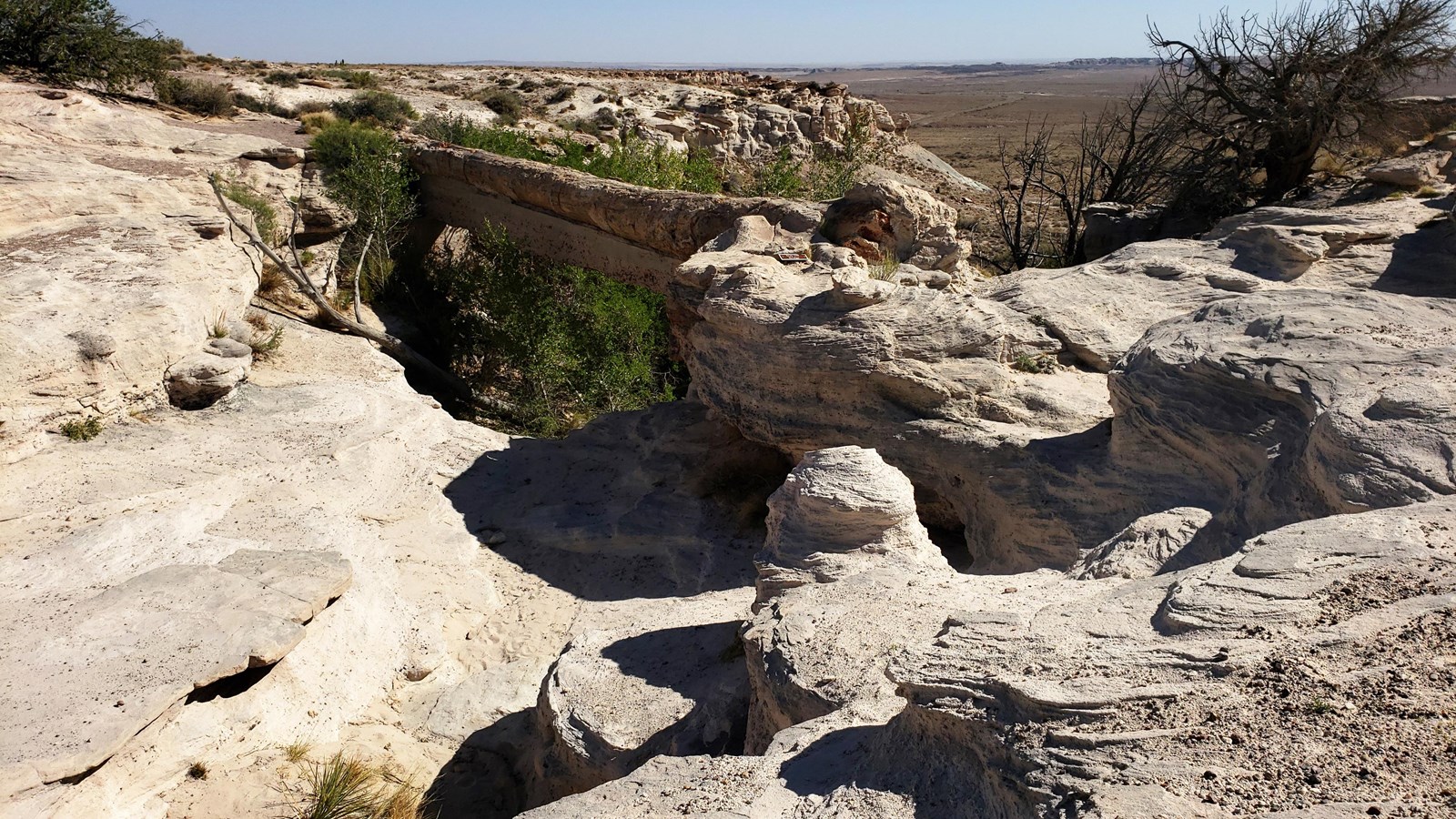 Highly eroded sandstone with supported petrified log, grassland and blue sky in the distance.