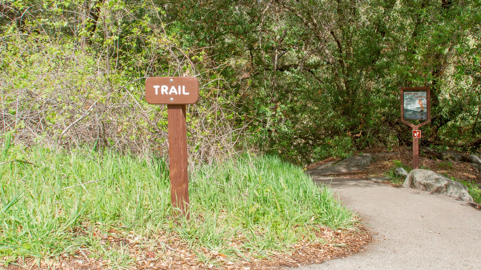 partially paved trail heading into the woods