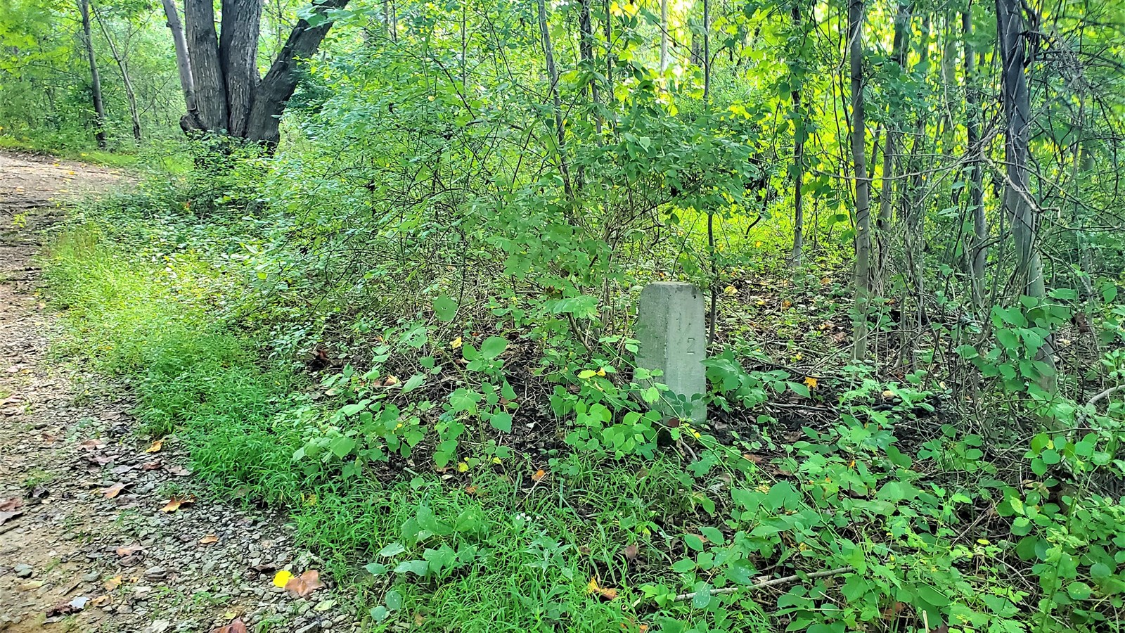 A stone marker on the PA-DE border. It has a 