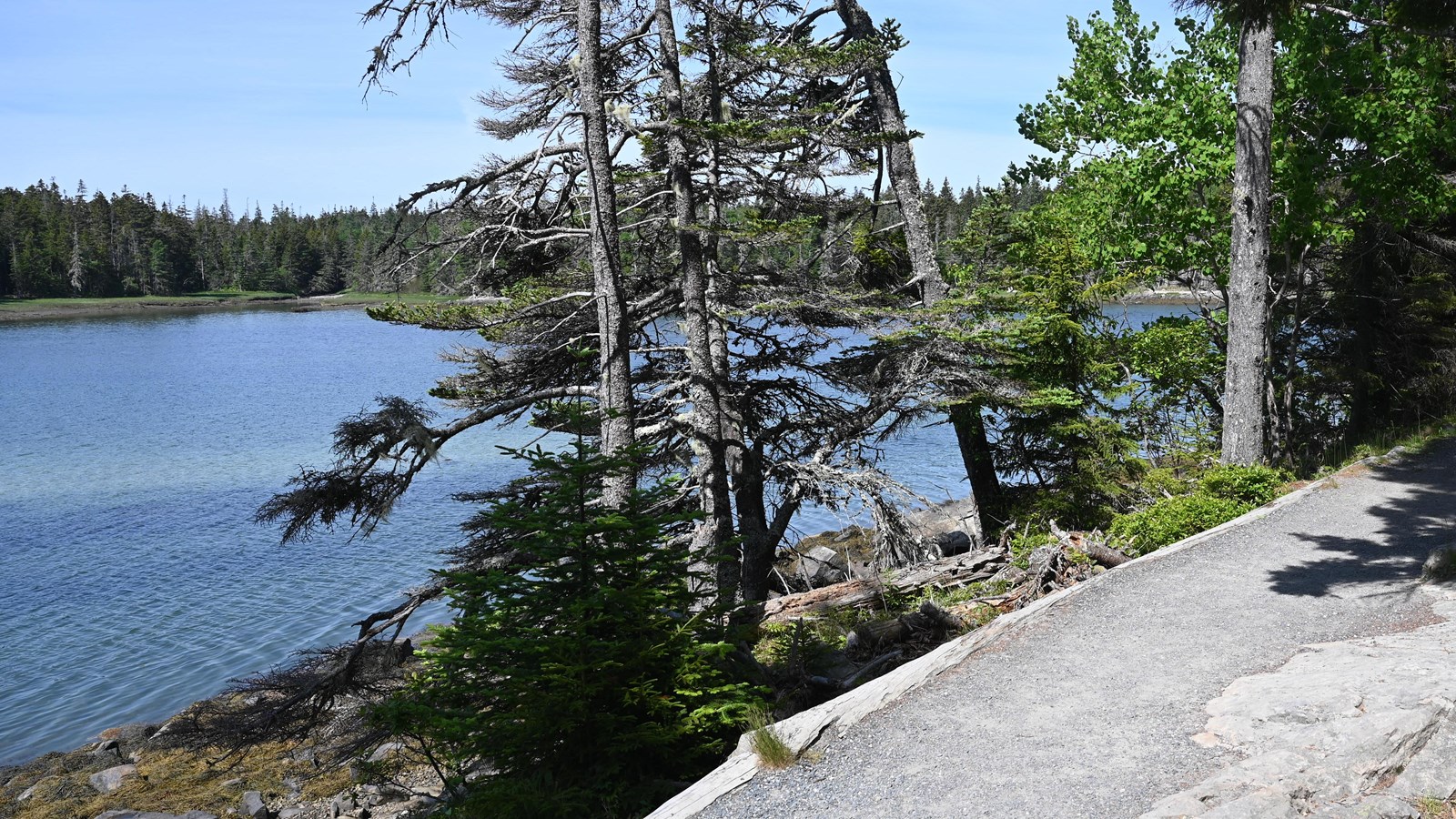 Gravel trail next to a view of a small body of water.