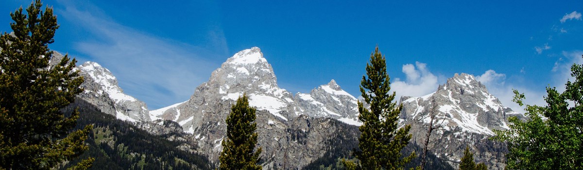 A mountain range rises up behind trees.