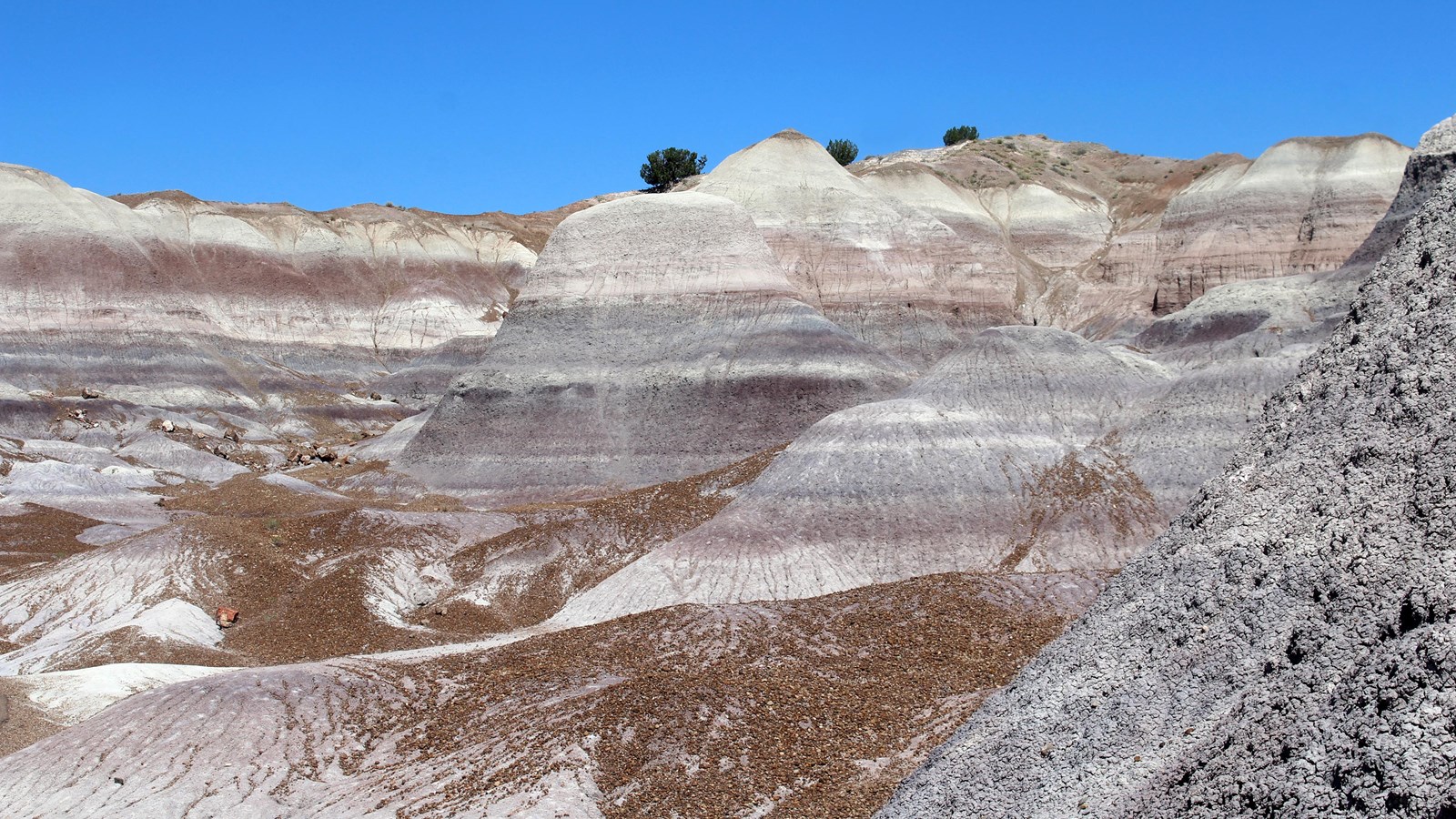 Blue, gray, and purple banded badlands against a blue sky.