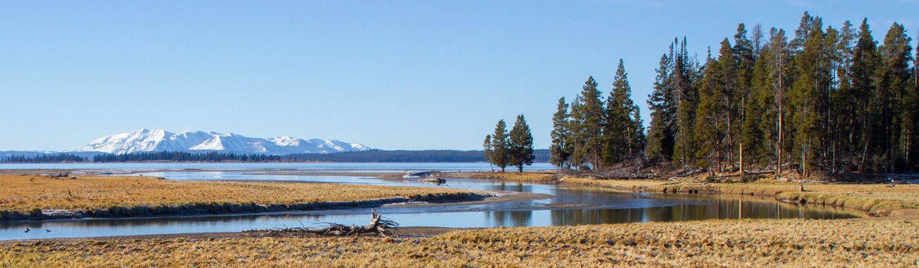 A creek flows through a wetland into a large lake with mountains in the distance.