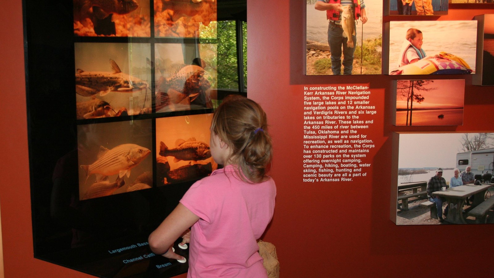A child wearing a pink shirt standing with her arms folded, pondering exhibits on fish species.