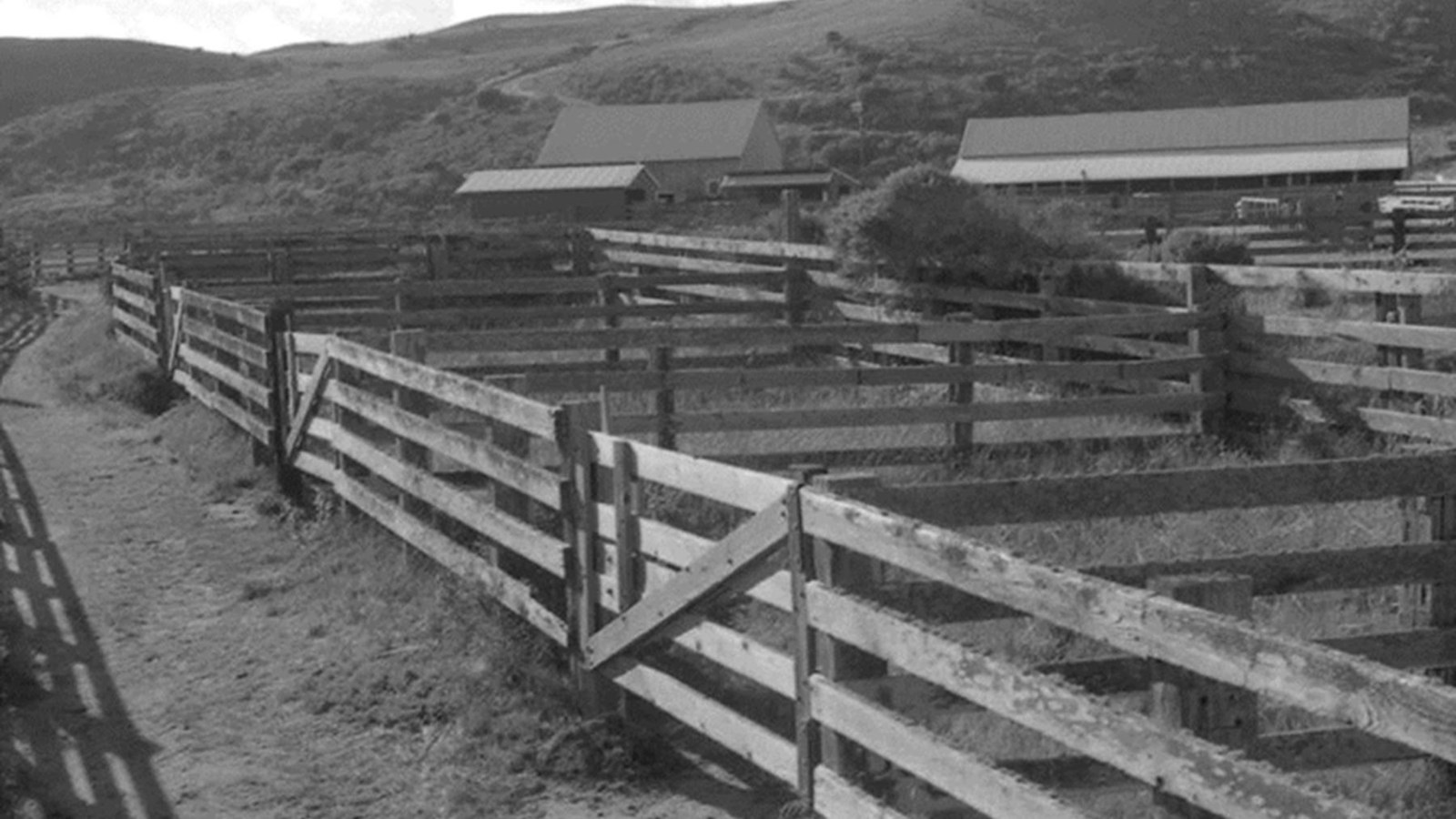 Wood fencing that creates corrals. 