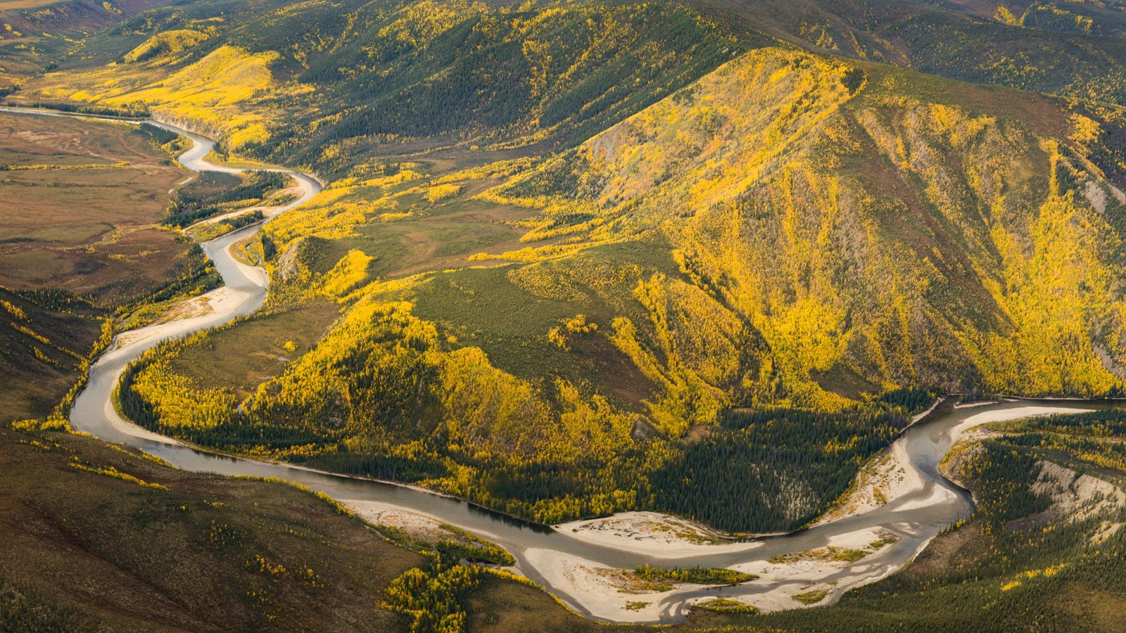 Aerial view of the Charley River during fall colors