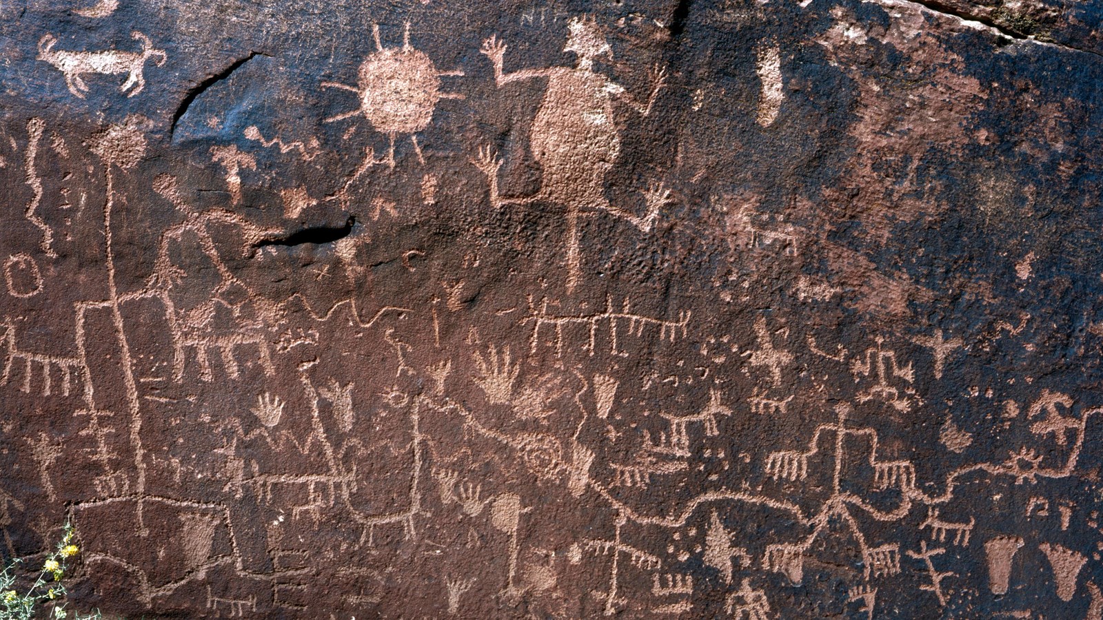 Many petroglyphs carved, pecked onto a dark brown stone surface