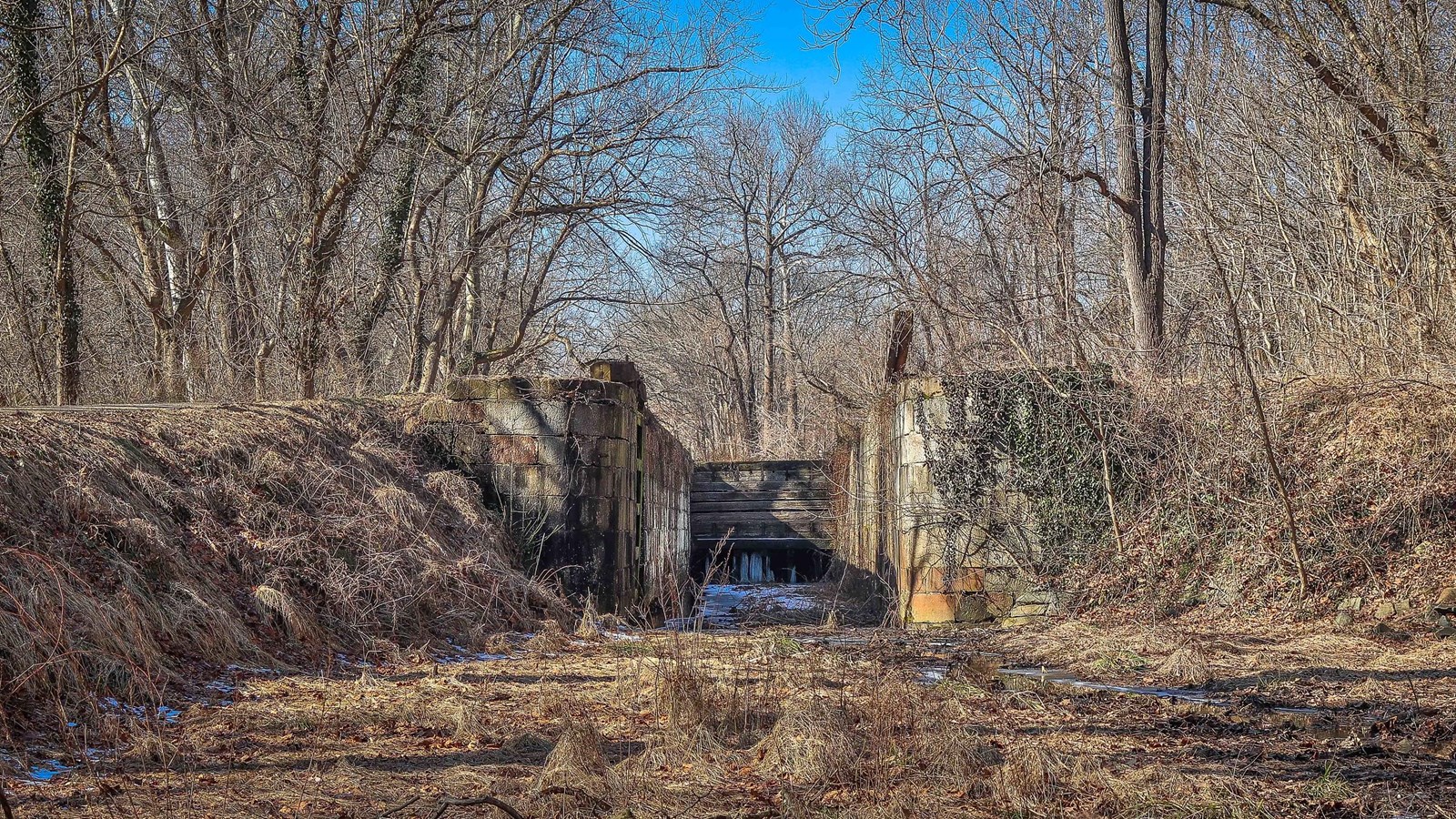 A look through lock 9 which is surrounded by winter leaveless trees.