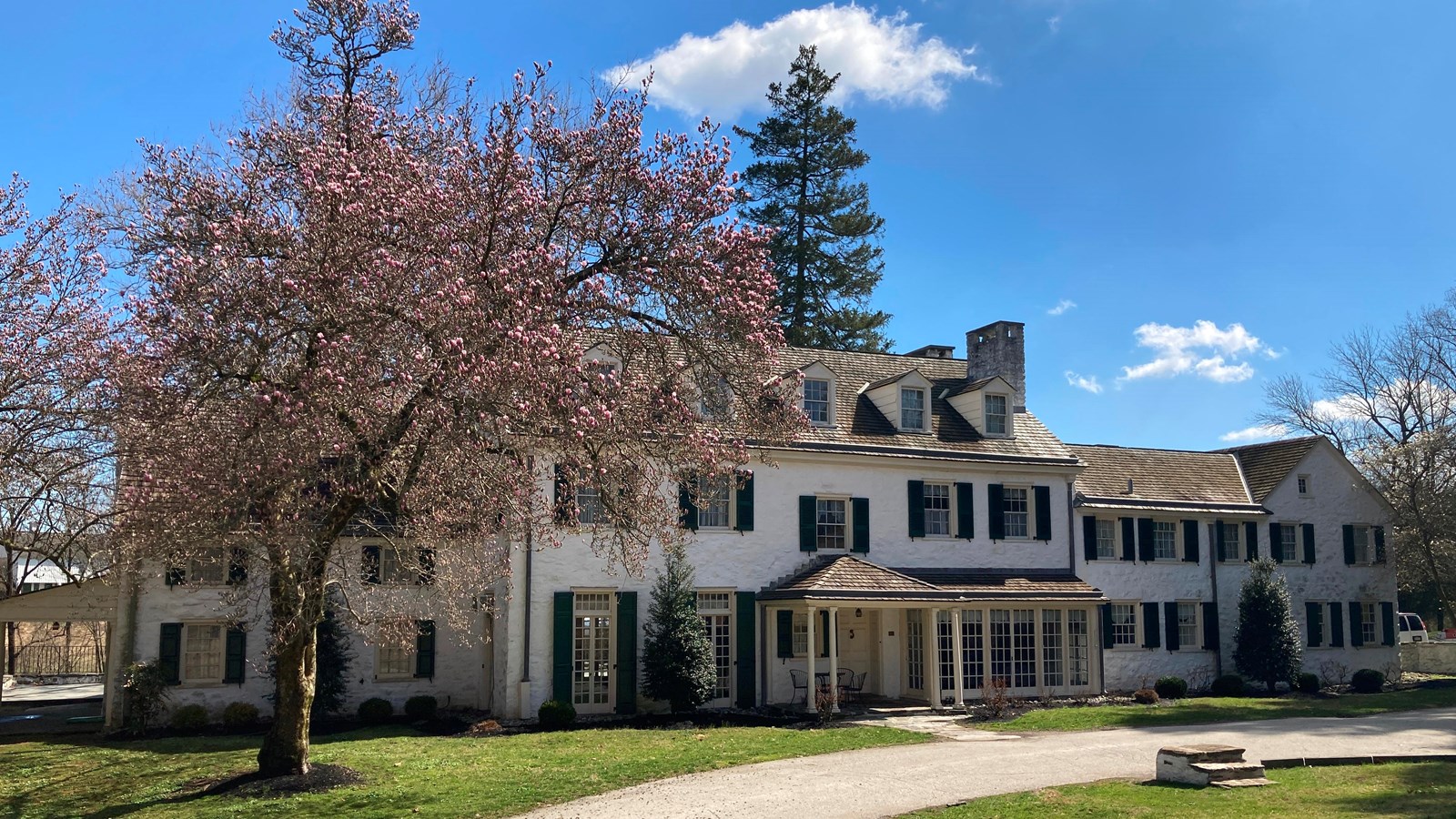 a large colonial revival style house with a flowering tree in front.