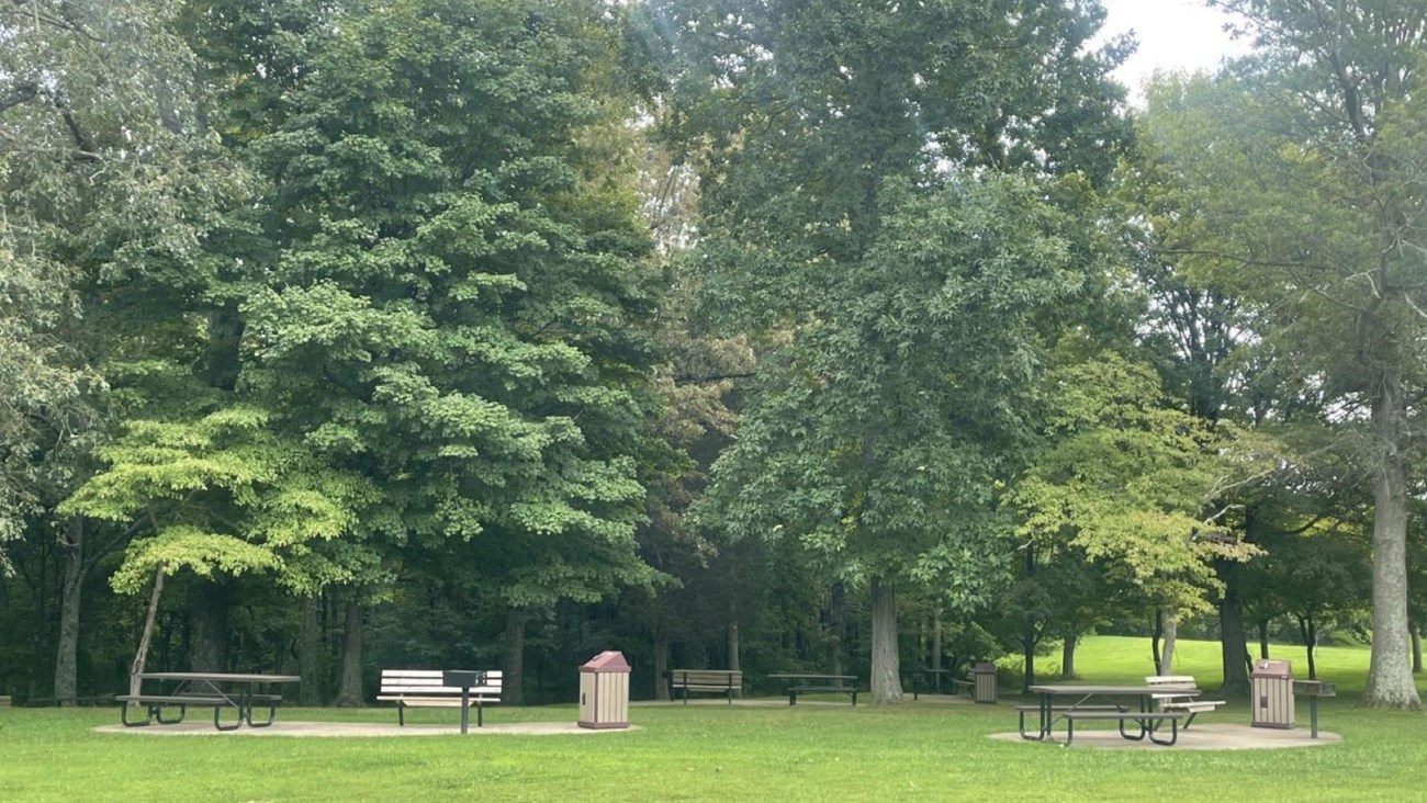 Picnic tables, on concrete pads, with grills and trash cans.