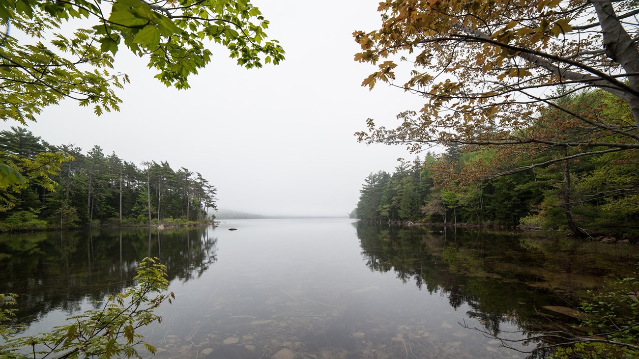 Trees line a waterway under a cloudy sky