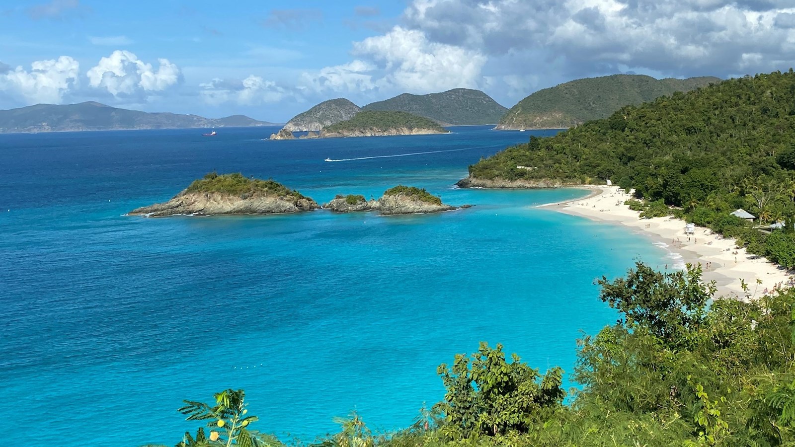 Lush green vegetation line a white sand beach on a turquoise sea.