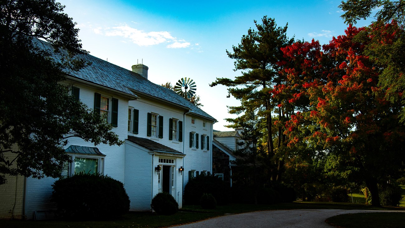 A white brick house with a tree changing colors to red in the fall.