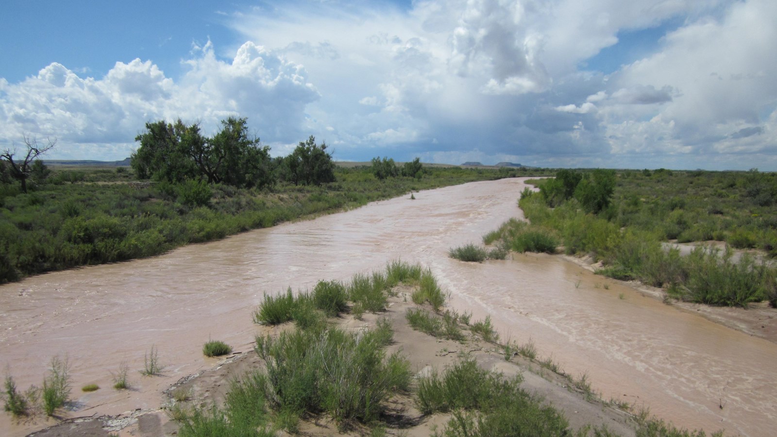Two branches of a brown river meet amidst trees under a cloudy sky.
