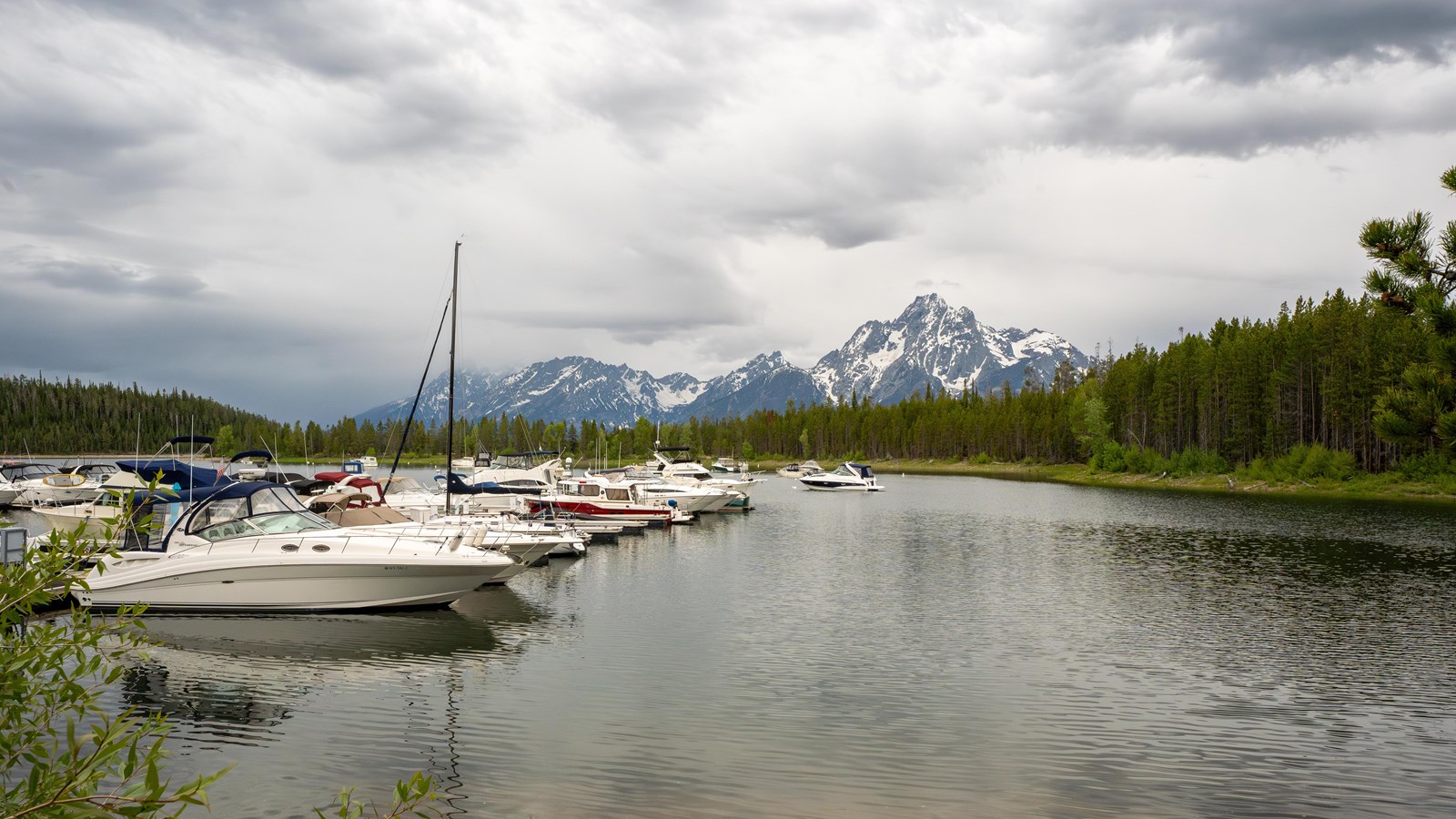 Boats parked at a dock in a bay with conifer trees, mountains, and cloudy sky in the background. 