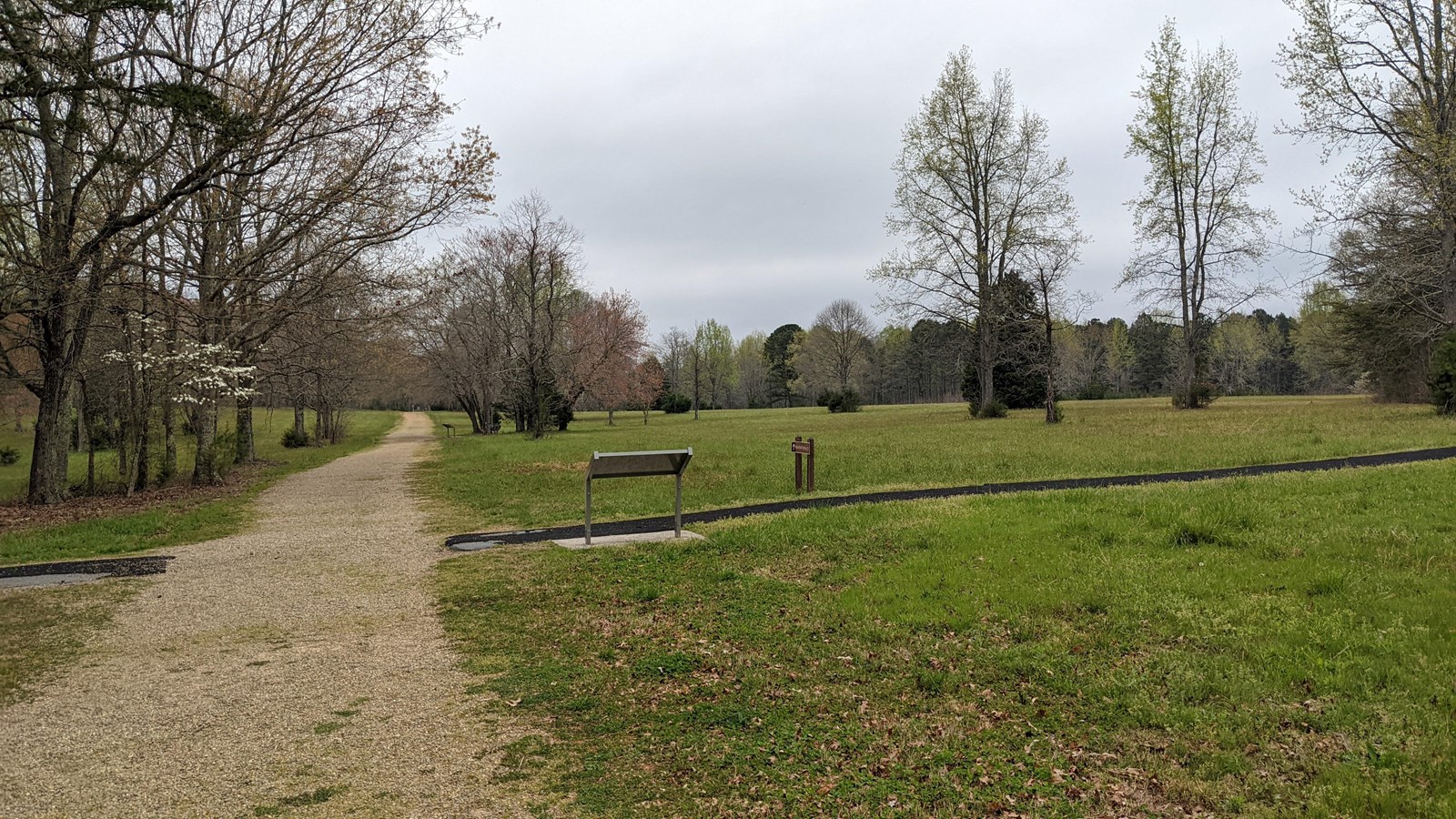 A green field with trees and a gravel road.