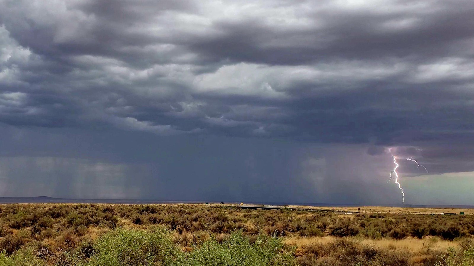 Grassland under a thunderstorm with lightning strike