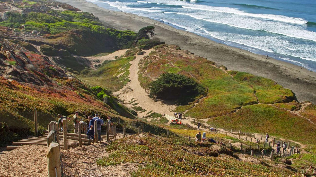 Colored image of the path down to the beach at Fort Funston