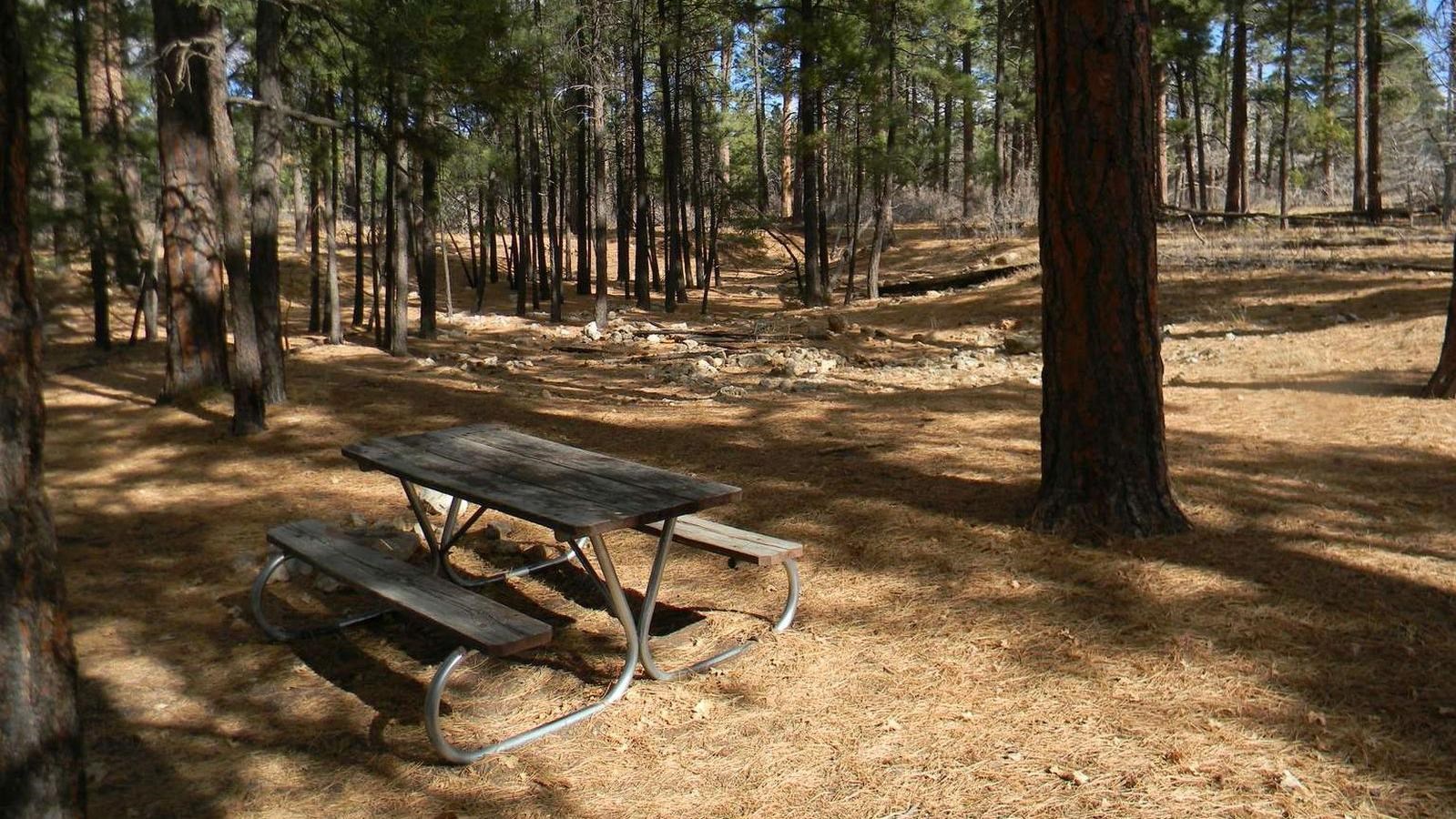 A wood and metal picnic table sits in the shade of pine trees.