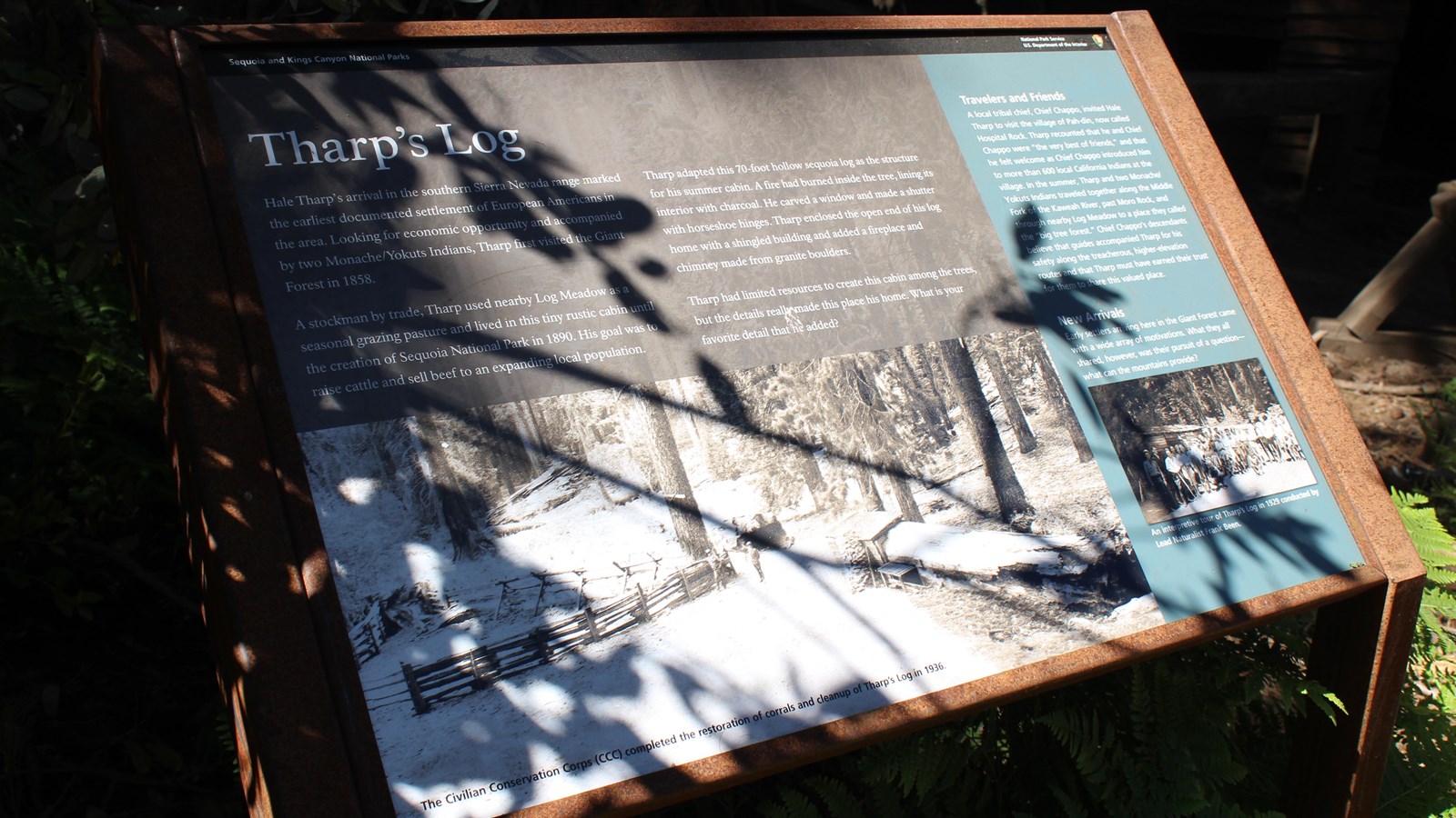Shadows fall on the wayside at Tharp\'s Log 