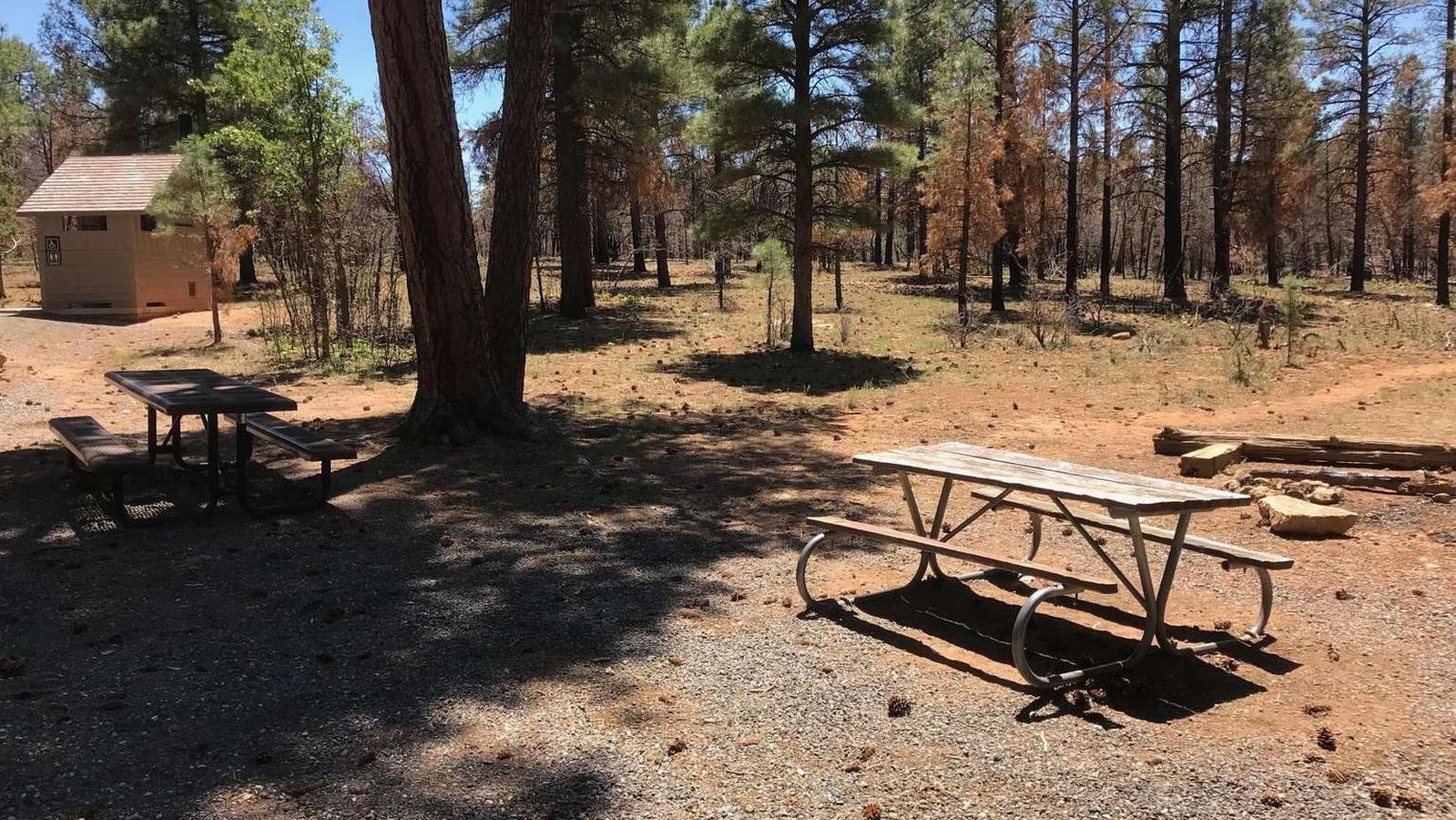 A wood and metal picnic table sits in a patch of sunlight with a restroom in the distance