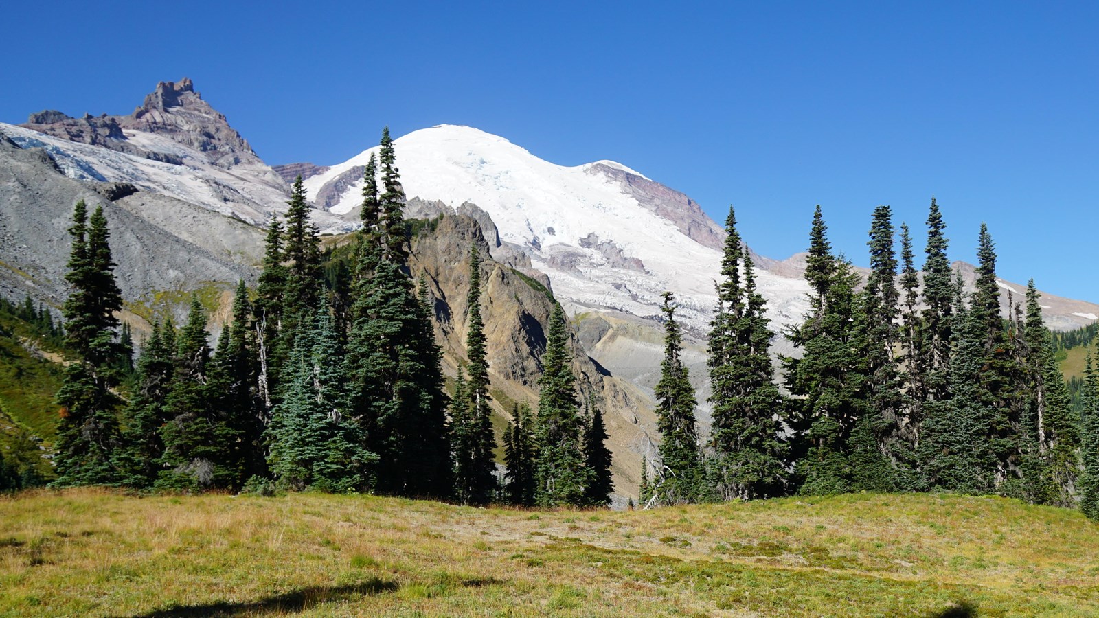 A rocky peak and glaciated mountain rise above trees framing a subalpine meadow. 