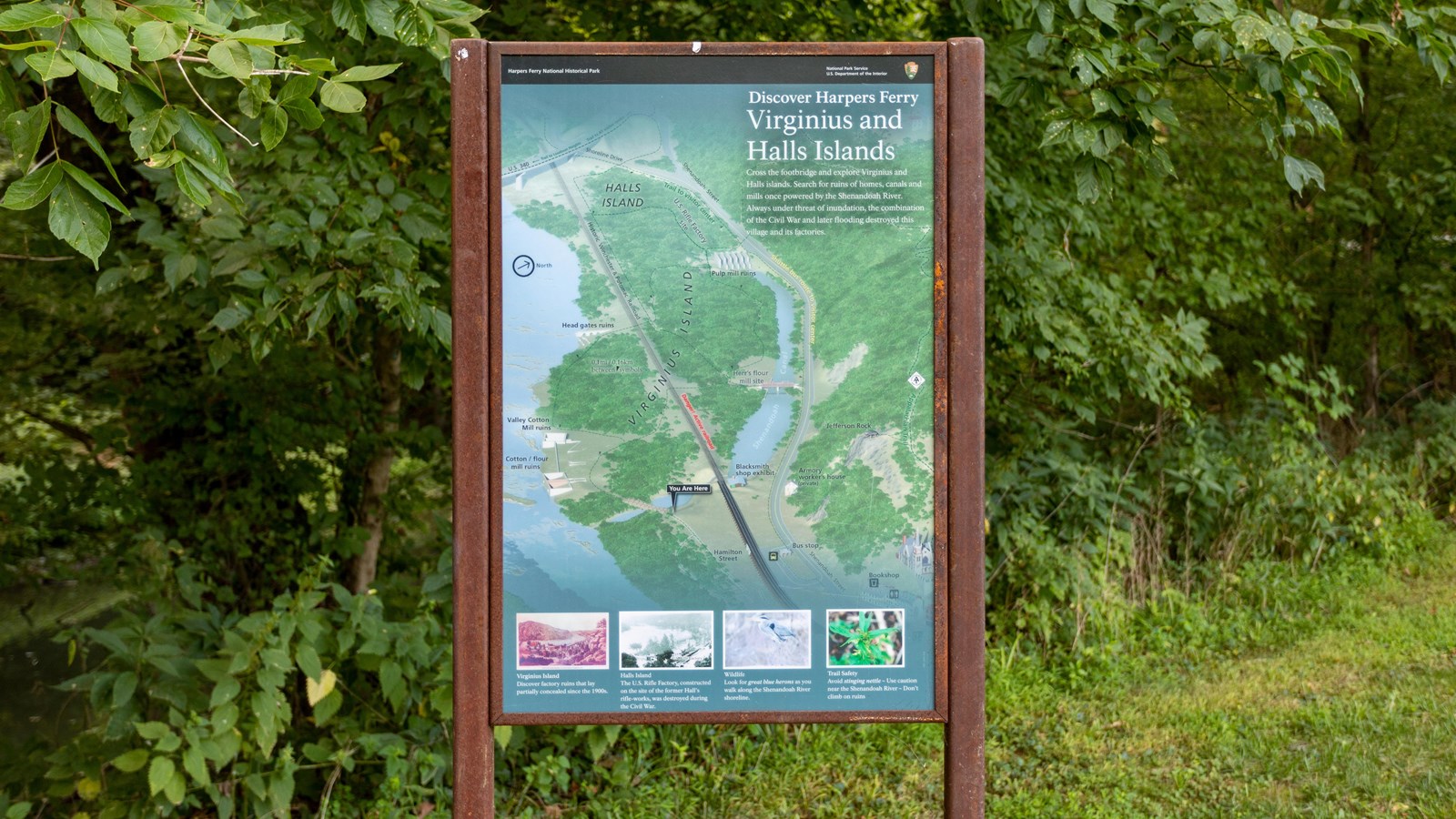 A map of the Virginius Island points out significant locations such as the ruins.