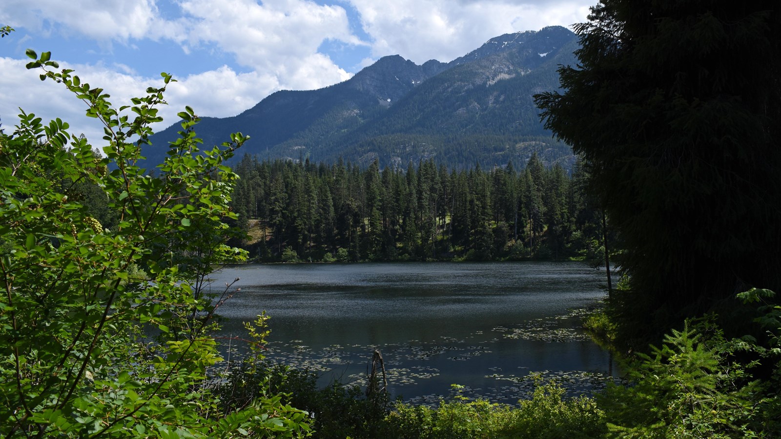 A small shallow blue lake is surrounded by thick forest