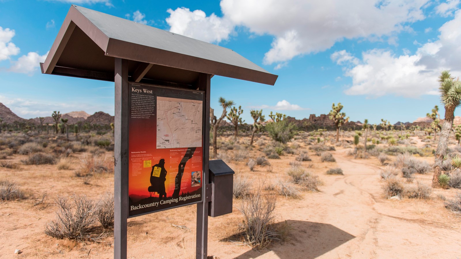 A sign by a dirt trail with information on backpacking with scattered Joshua trees and shrubs nearby