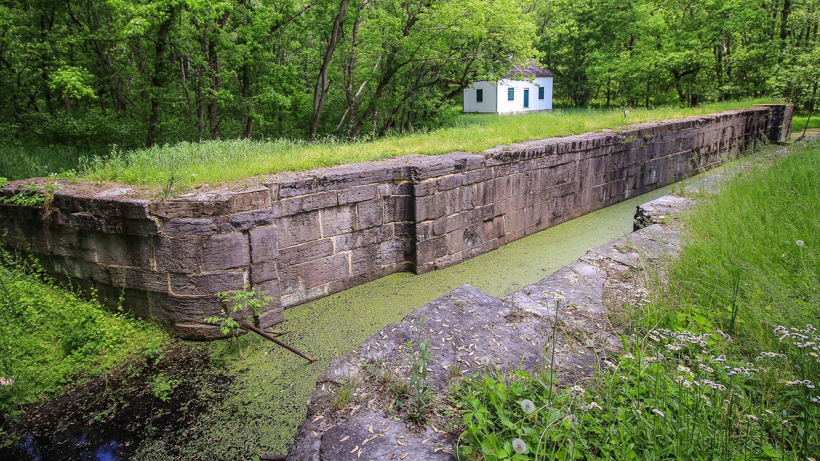 Algae covered water runs through a lock with a white lockhouse in the distance.