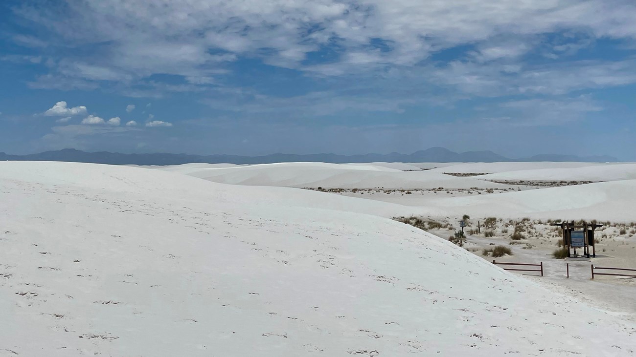 sitting on top of a white dune with dunes stretching to the horizon. A trailhead sign seen below.