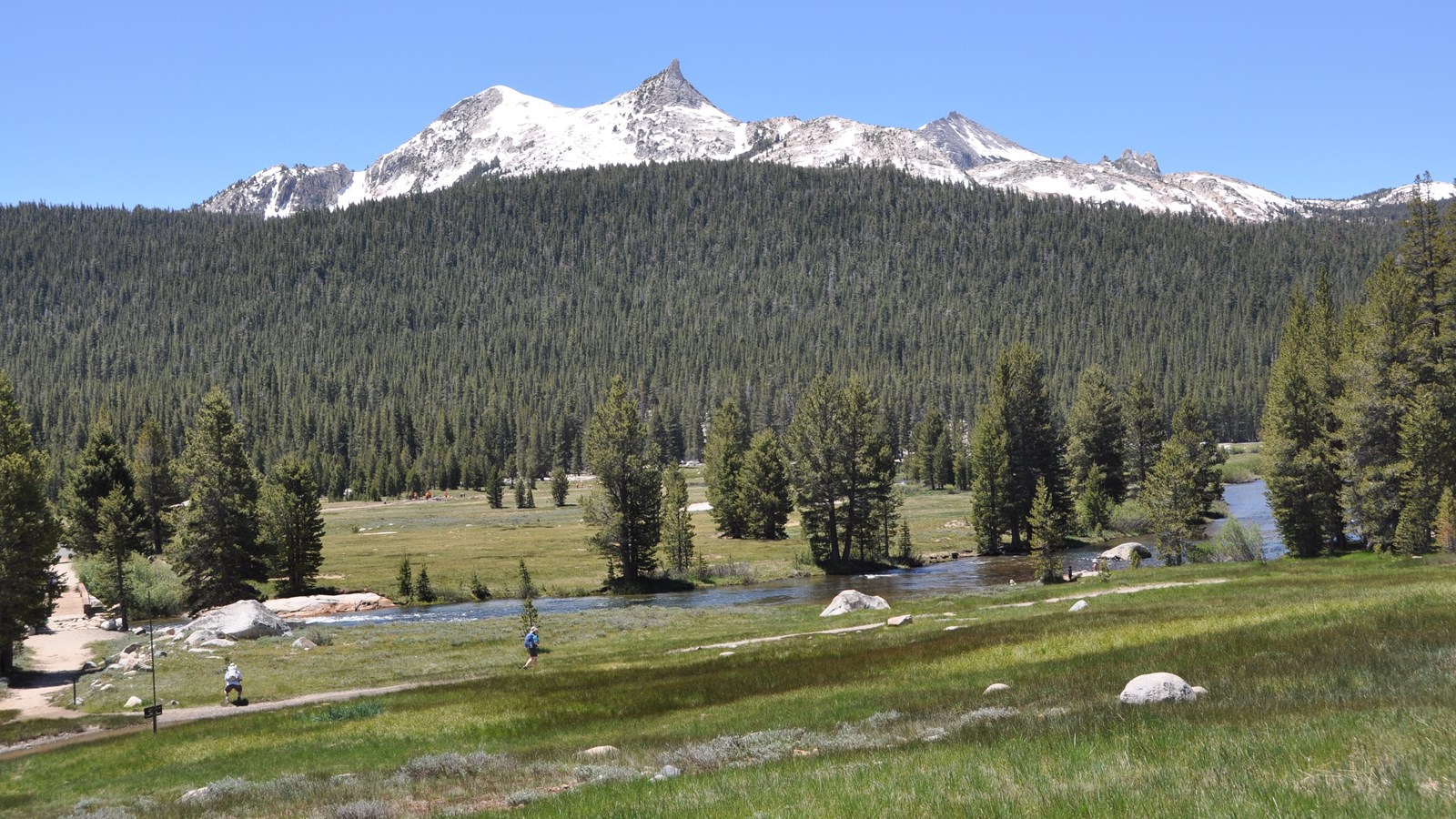 View of alpine meadow and river in Tuolumne Meadows