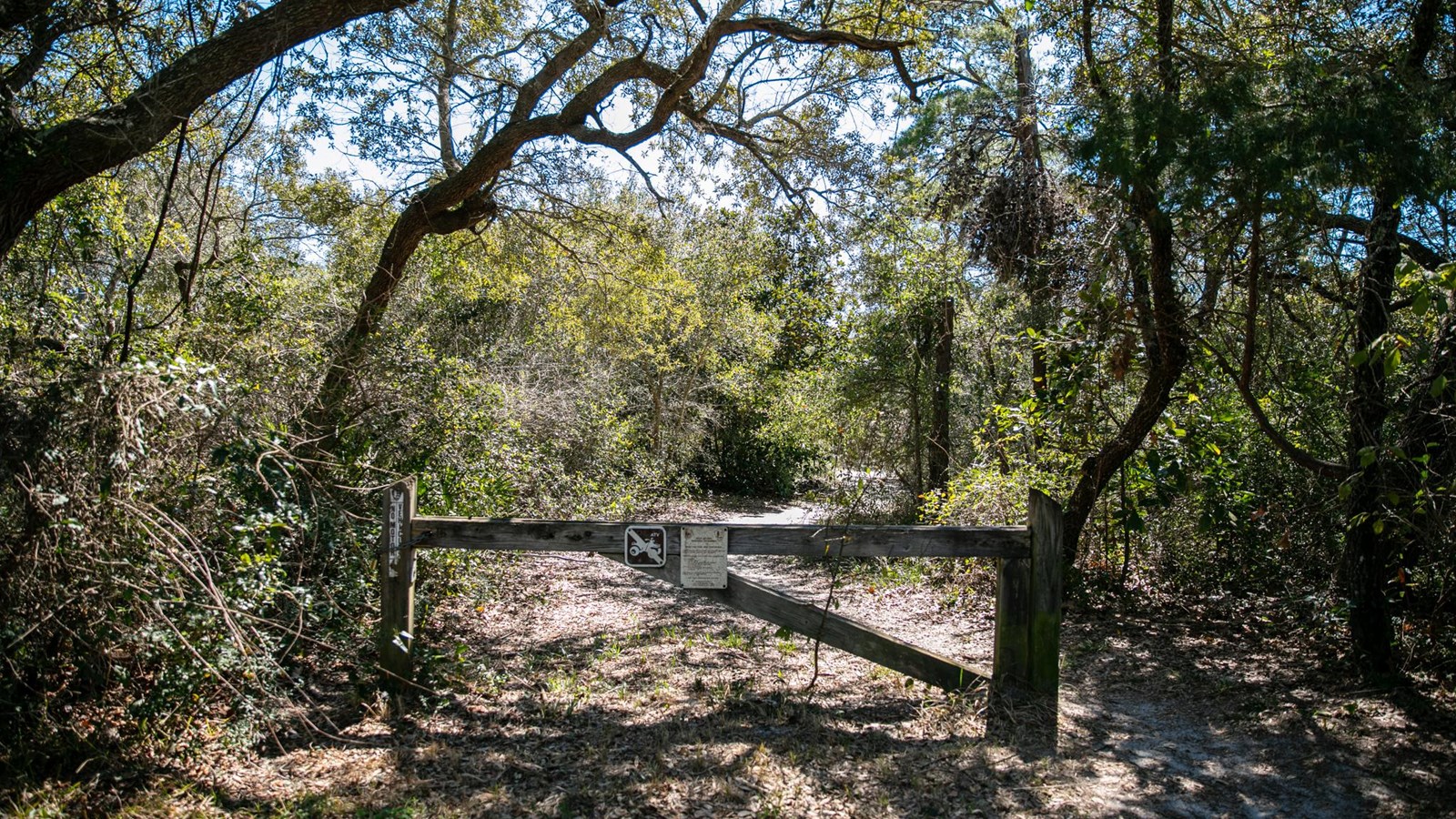A wooden gate bars a sandy trail into the forest.