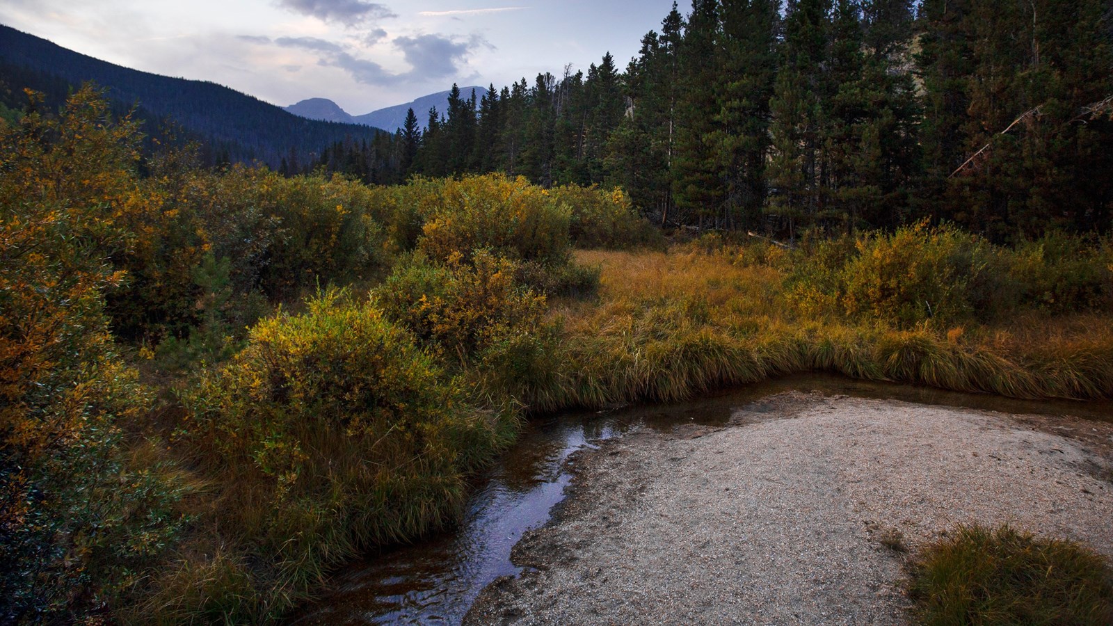 a river runs through bright yellow meadow