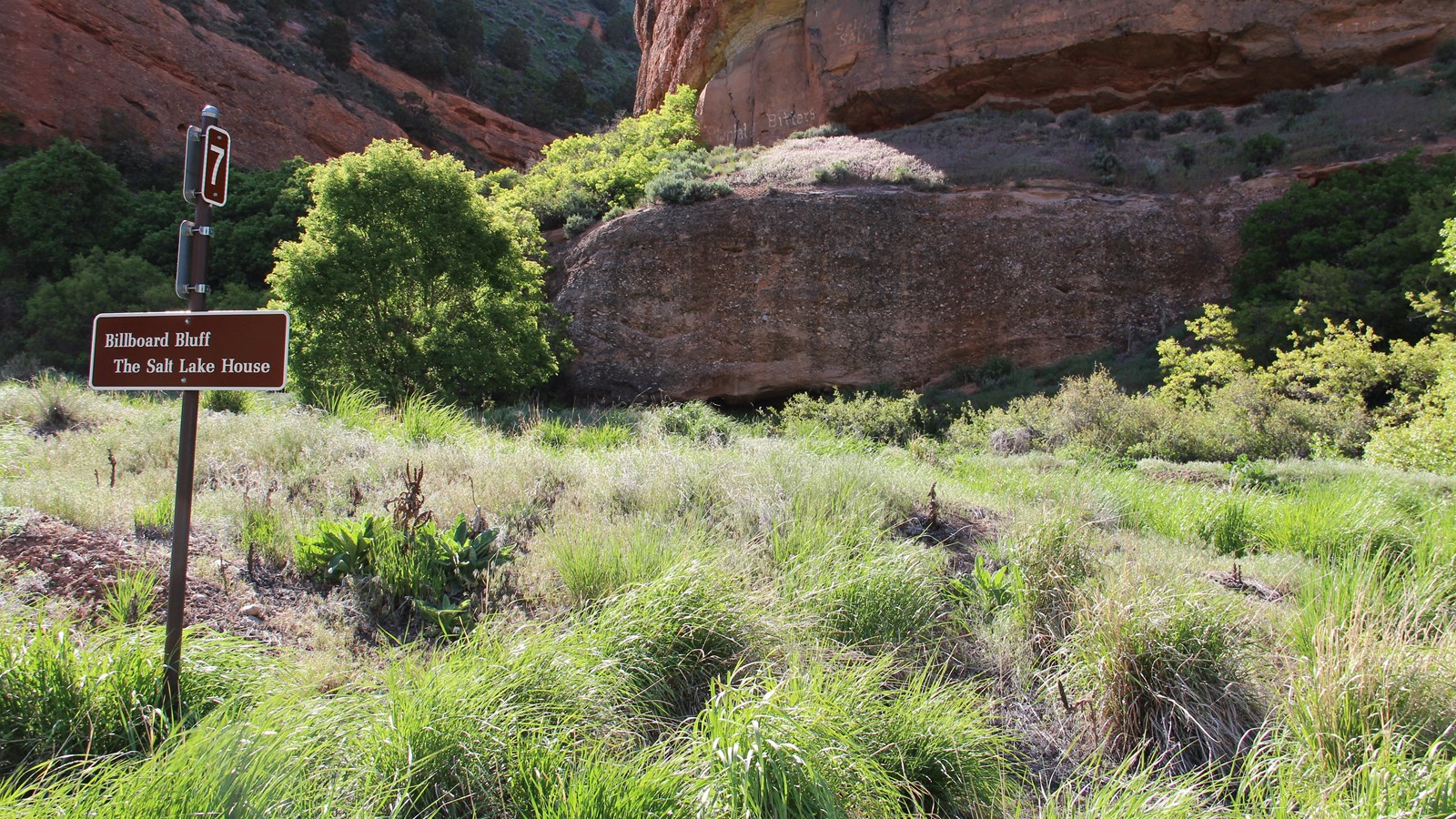 Painted white letters run along the base of a red sandstone cliff face. 