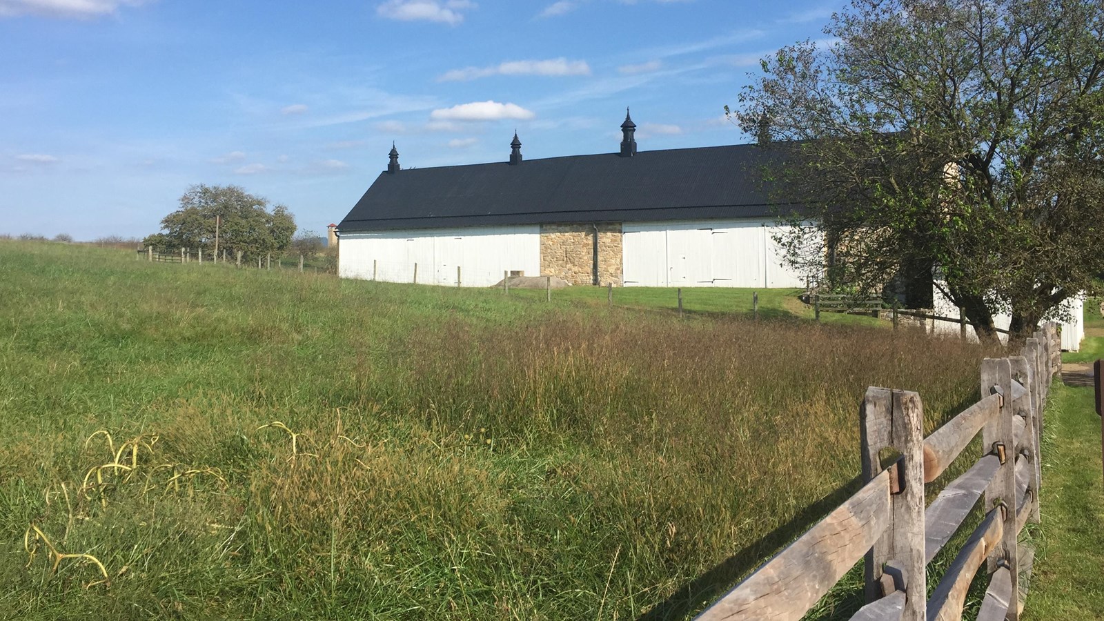 bank barn, white with a black roof