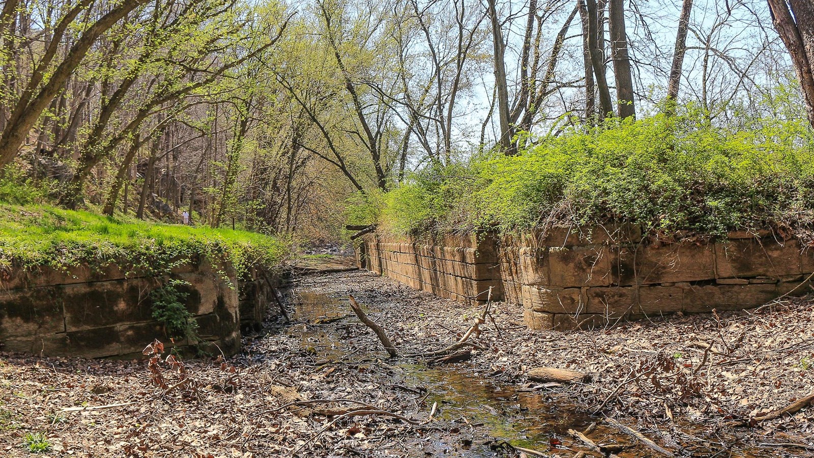 A look through a grass covered lock. The right wall stands taller than the left wall.