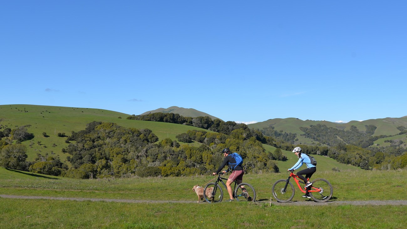 Two bikers and a leashed dog ride down a dirt path through green hillsides.