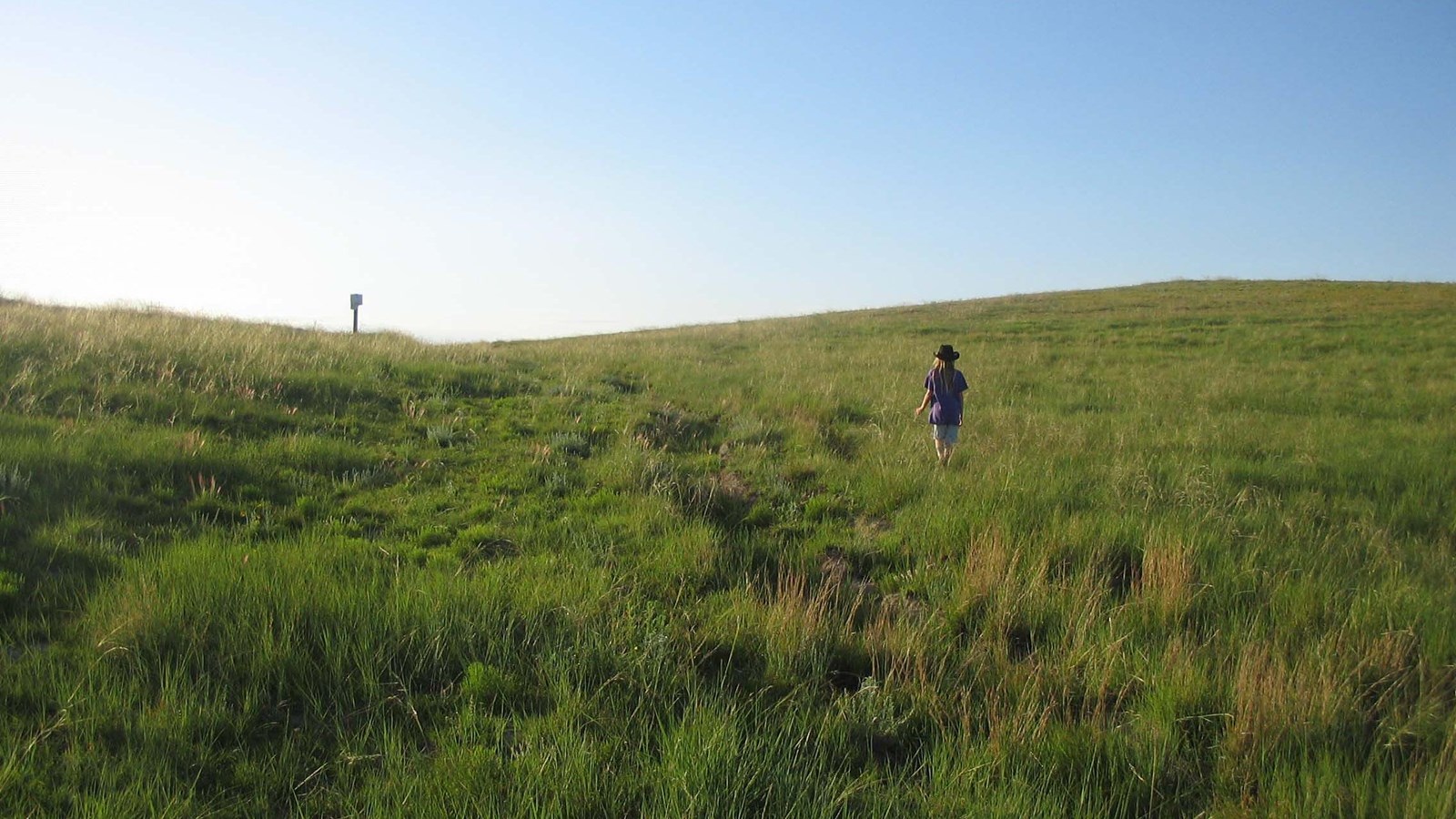 A rut leads up through a grassy hill.