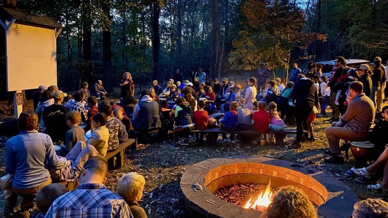 people surrounding a campfire