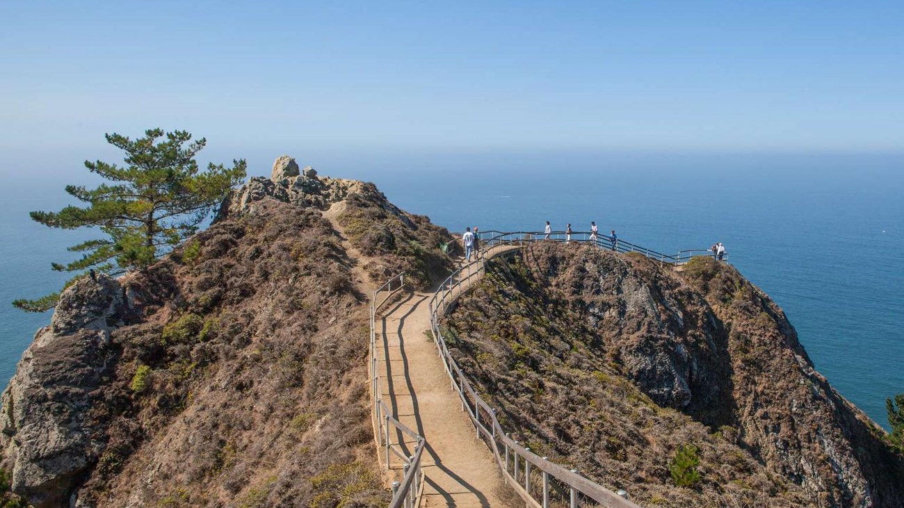 The narrow, wooden fence lined path down to the Muir Beach Overlook