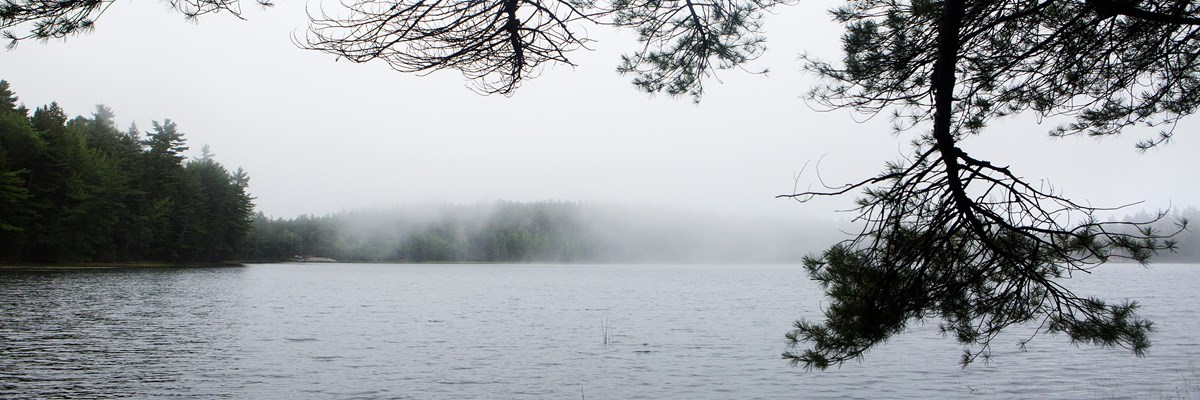 view of a pond with fog rolling in