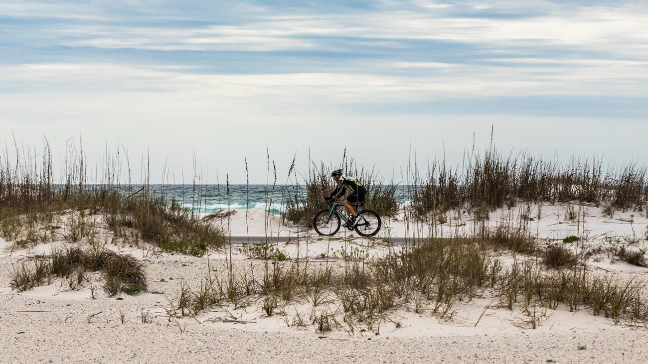 A bicyclist pedals on the road with sand dunes in the foreground and the ocean behind.