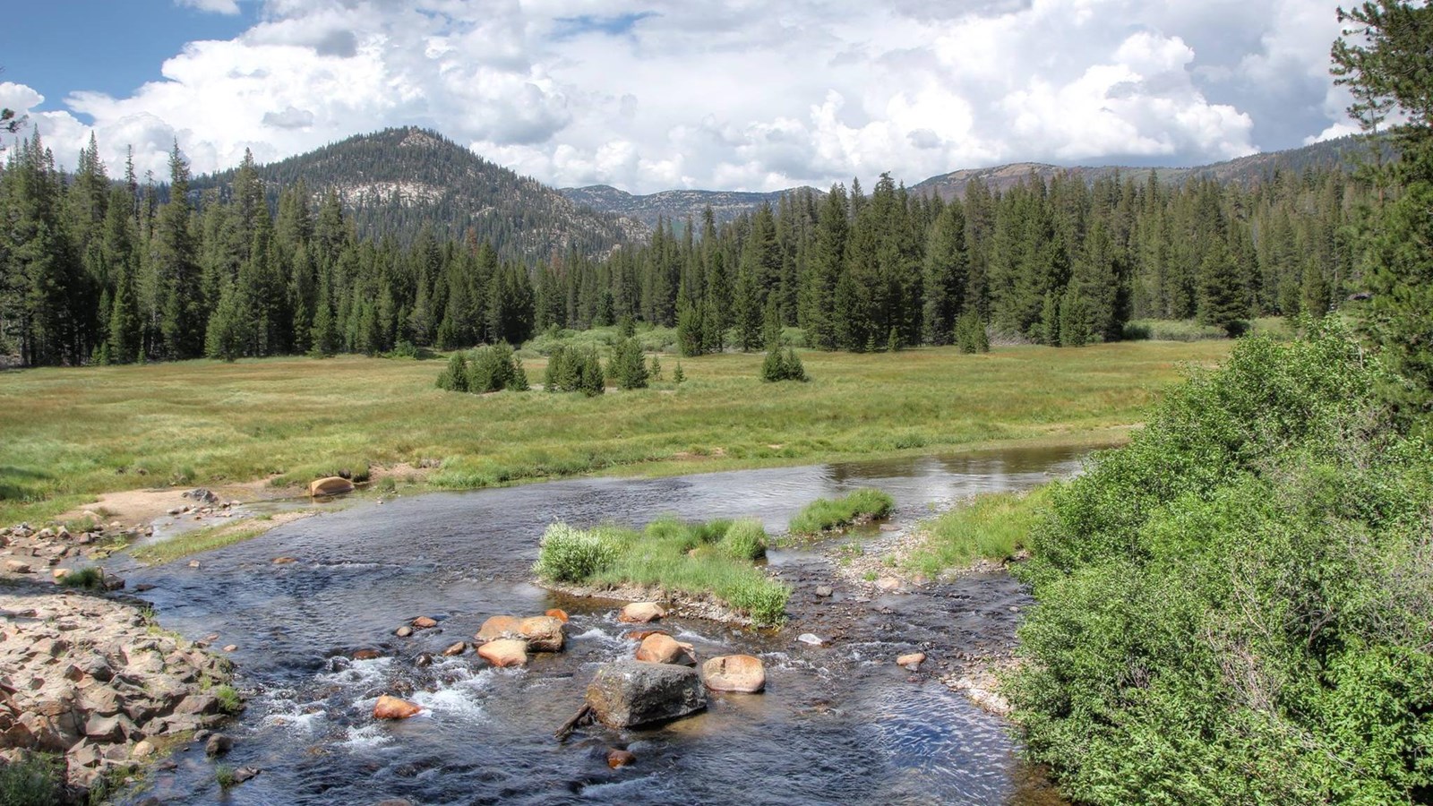 soda springs meadow with river
