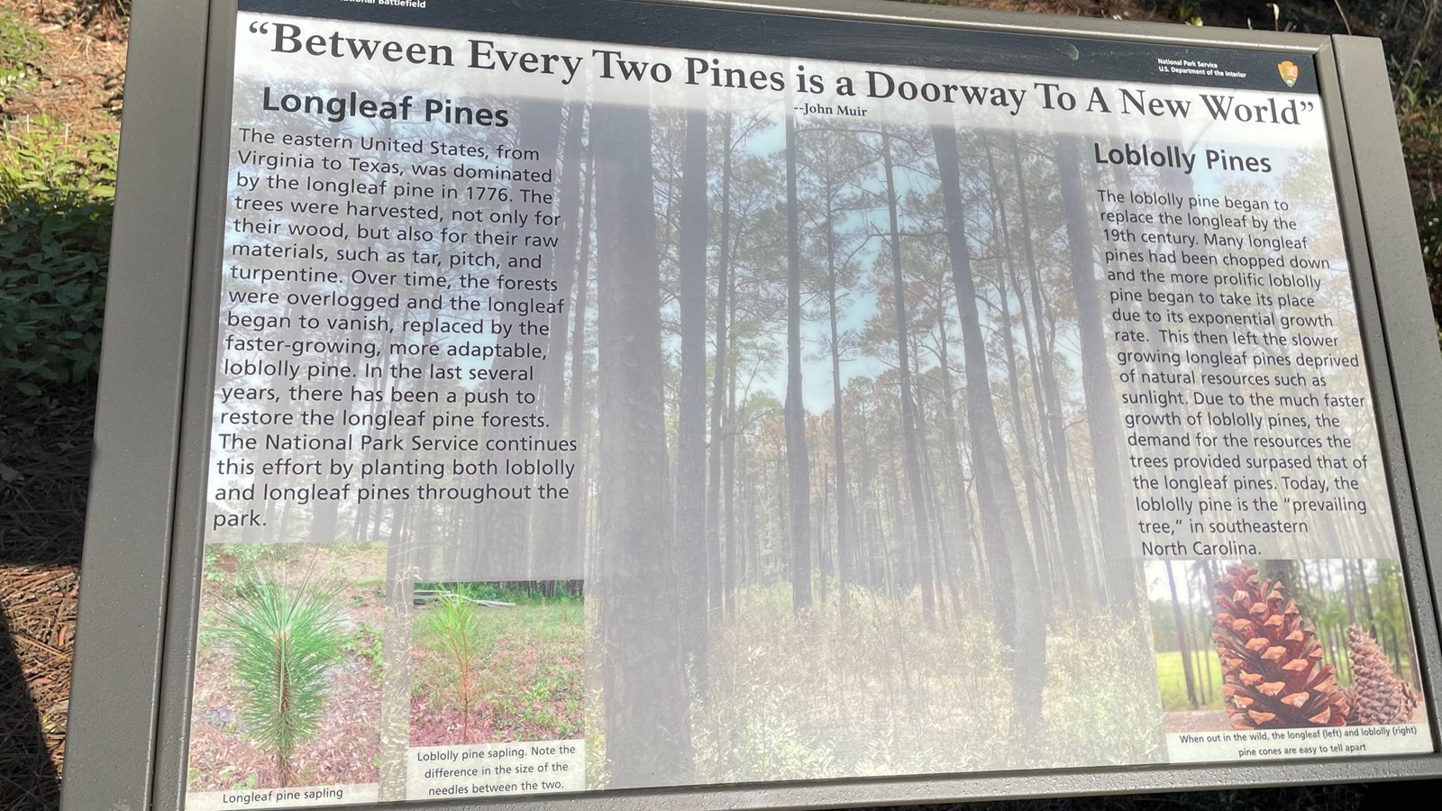36x24 sign 