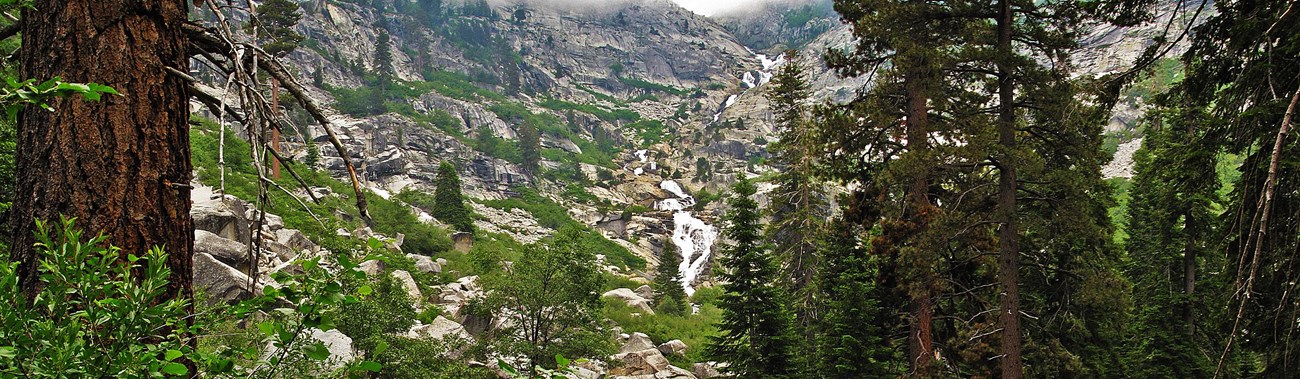 Green foliage in the foreground leading to a waterfall at the end of a canyon